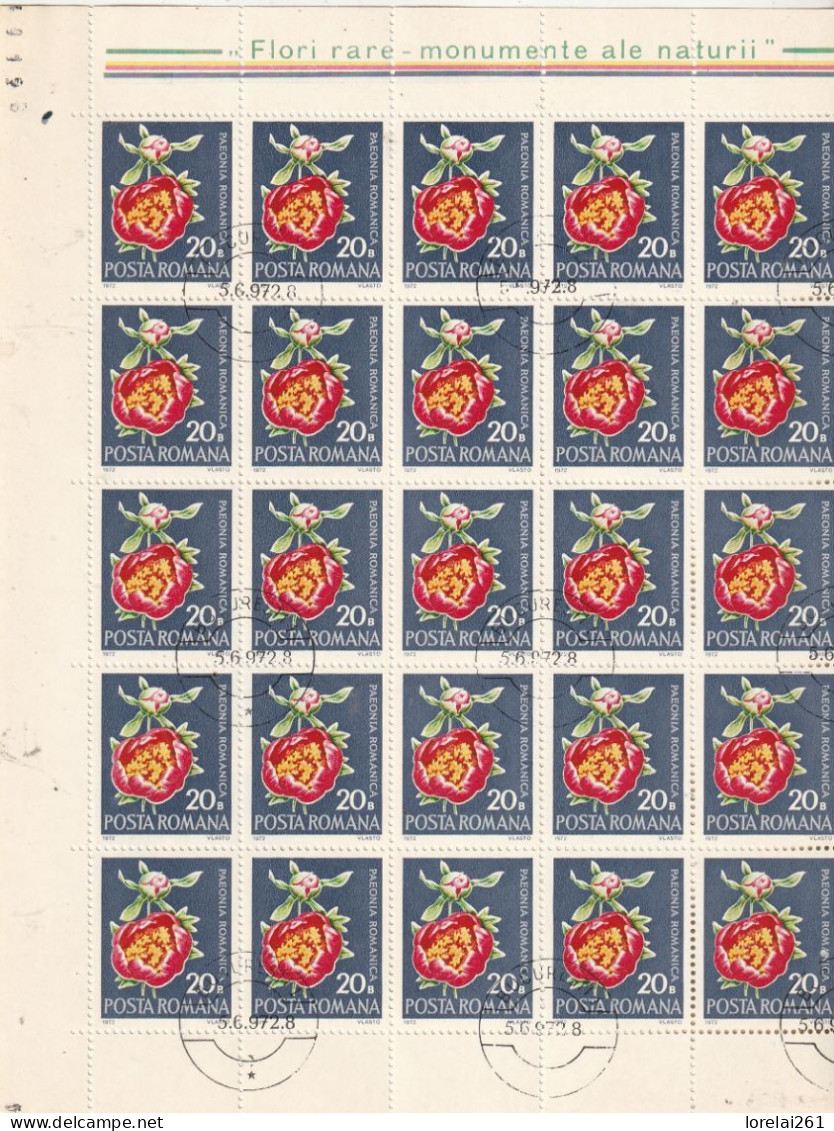 1972 - FLORE / FULL X 25 - Full Sheets & Multiples