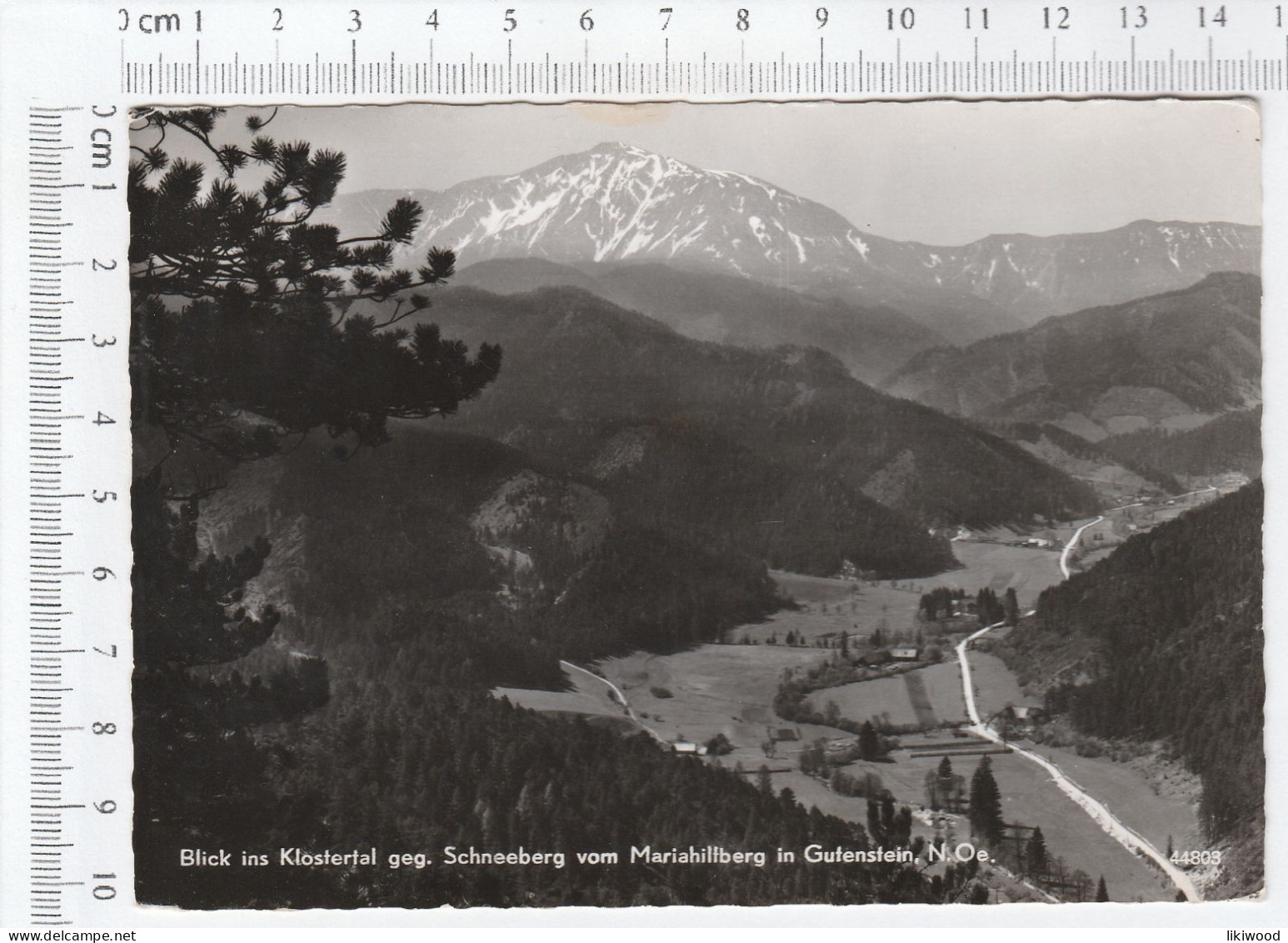 Blick Ins Klostertal Geg. Schneeberg Vom Mariahilfberg In Gutenstein - Gutenstein