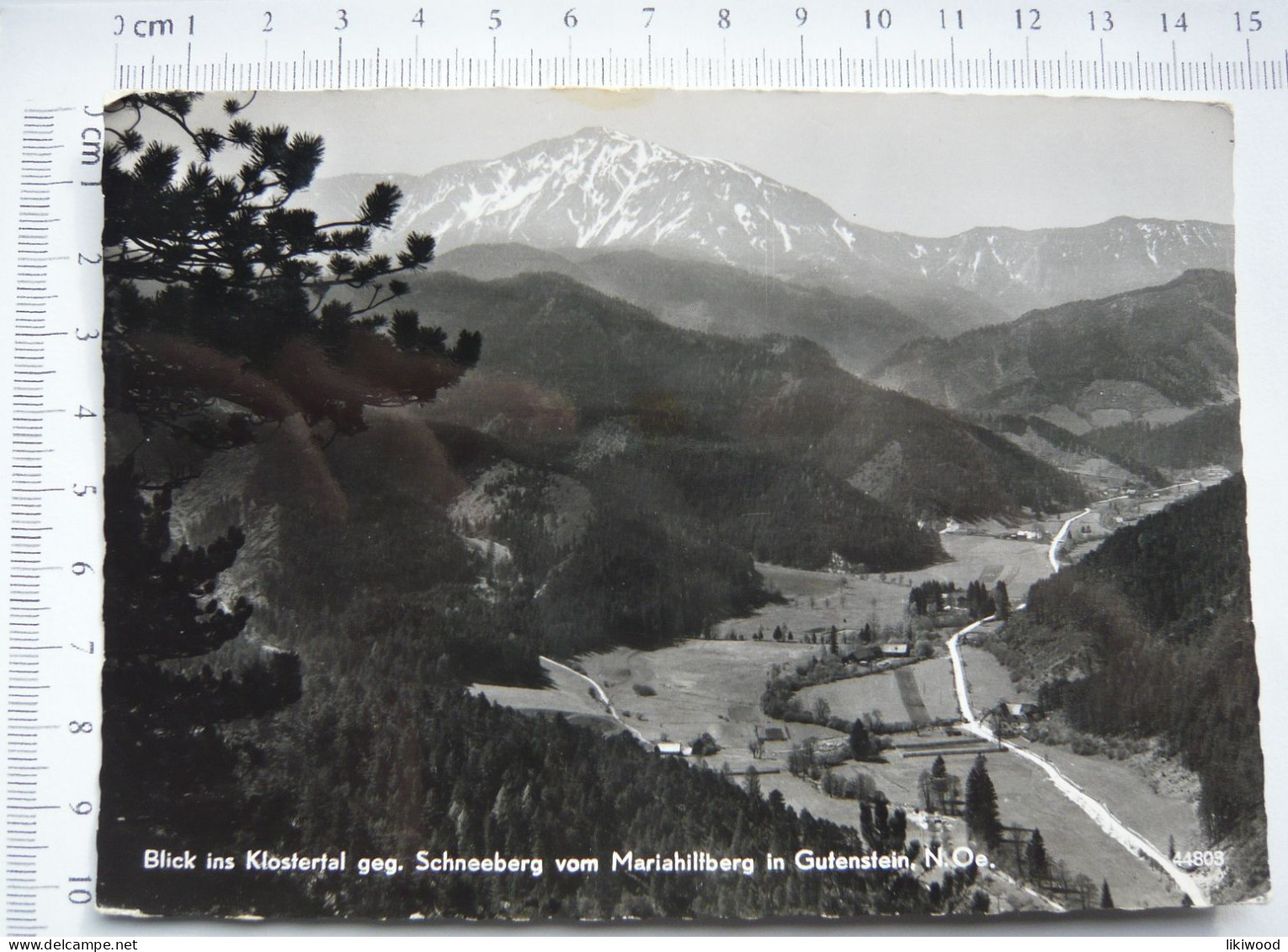 Blick Ins Klostertal Geg. Schneeberg Vom Mariahilfberg In Gutenstein - Gutenstein