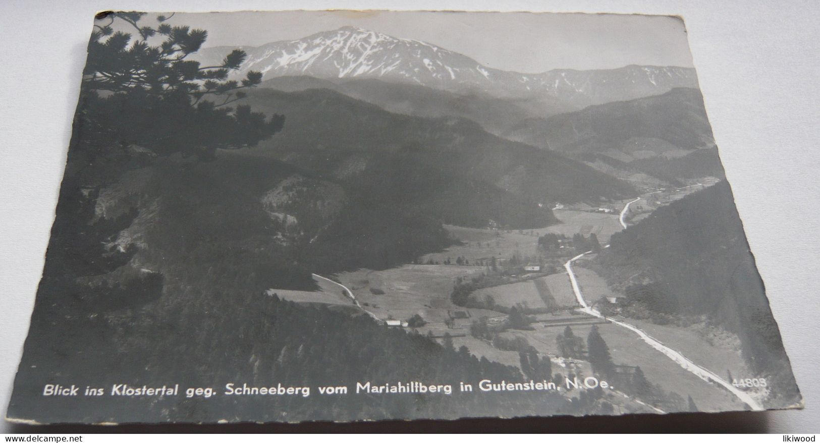 Blick Ins Klostertal Geg. Schneeberg Vom Mariahilfberg In Gutenstein - Gutenstein