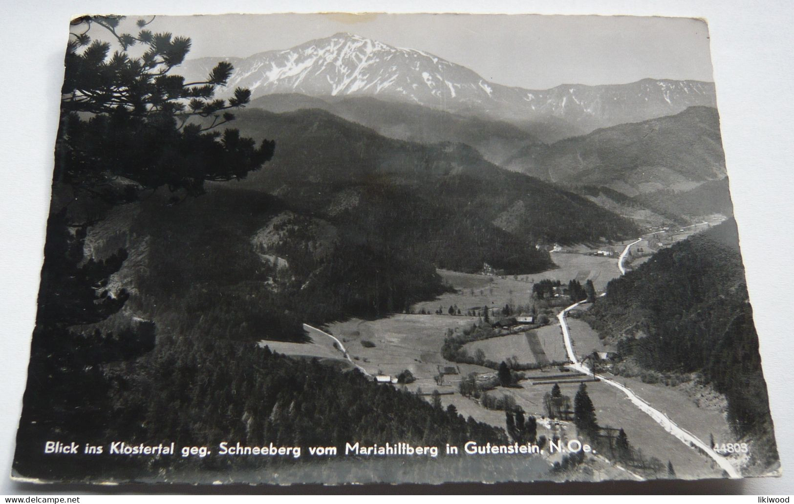 Blick Ins Klostertal Geg. Schneeberg Vom Mariahilfberg In Gutenstein - Gutenstein