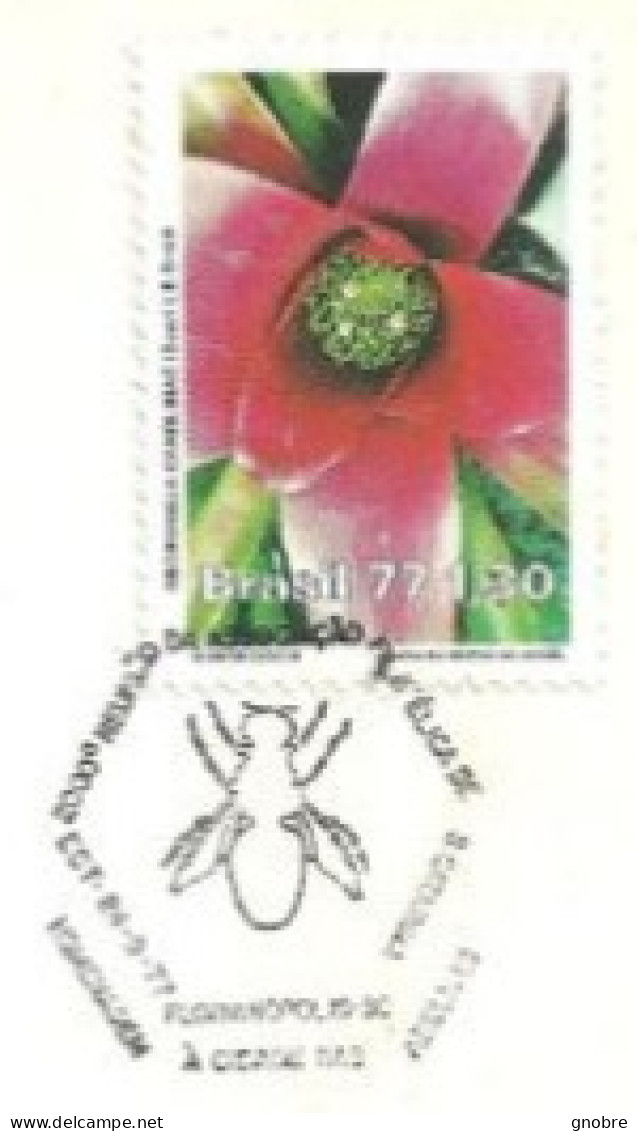 BRAZIL  1977 COVER COMMEMORATIVE CANCEL BEE FLOWER - Cartas & Documentos