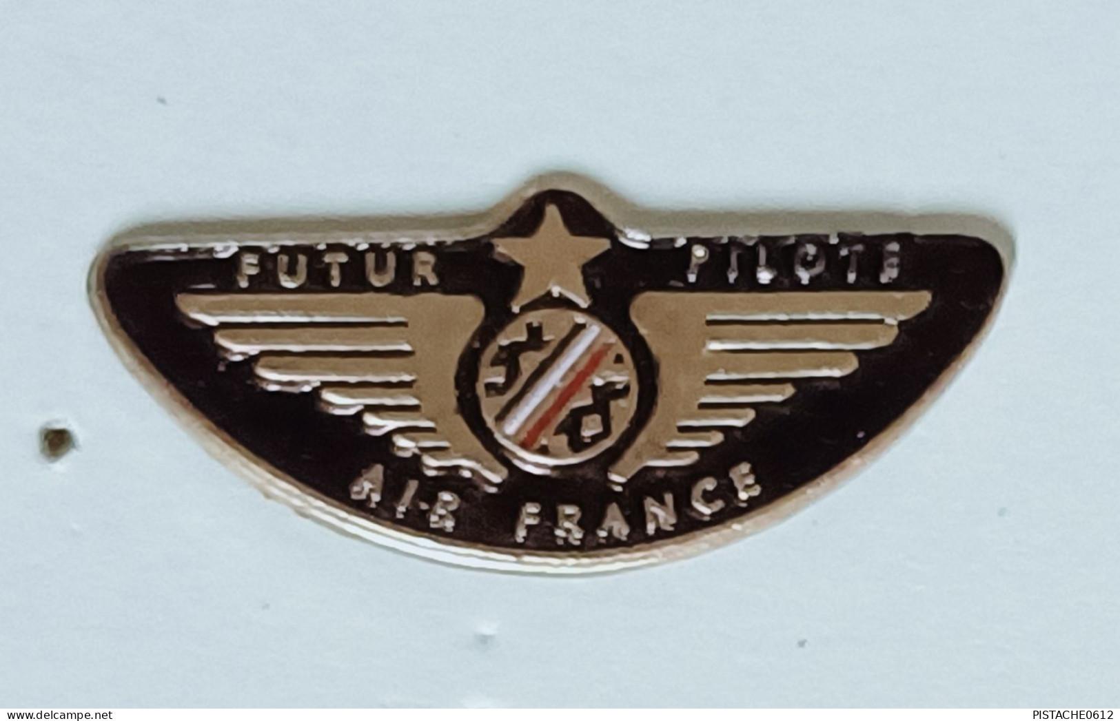 Pin's Avion Futur Pilote Air France - Avions