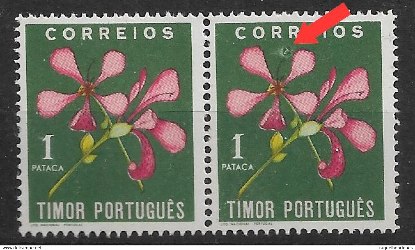 TIMOR 1950 FLOWERS - PRINT ERROR - PAIR MNH (NP#72-P19-L2) - Timor