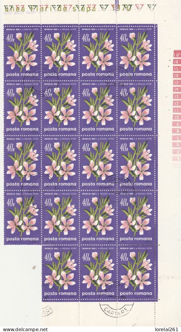 1970 - Fleurs Des Steppes / FULL X 18 - Feuilles Complètes Et Multiples