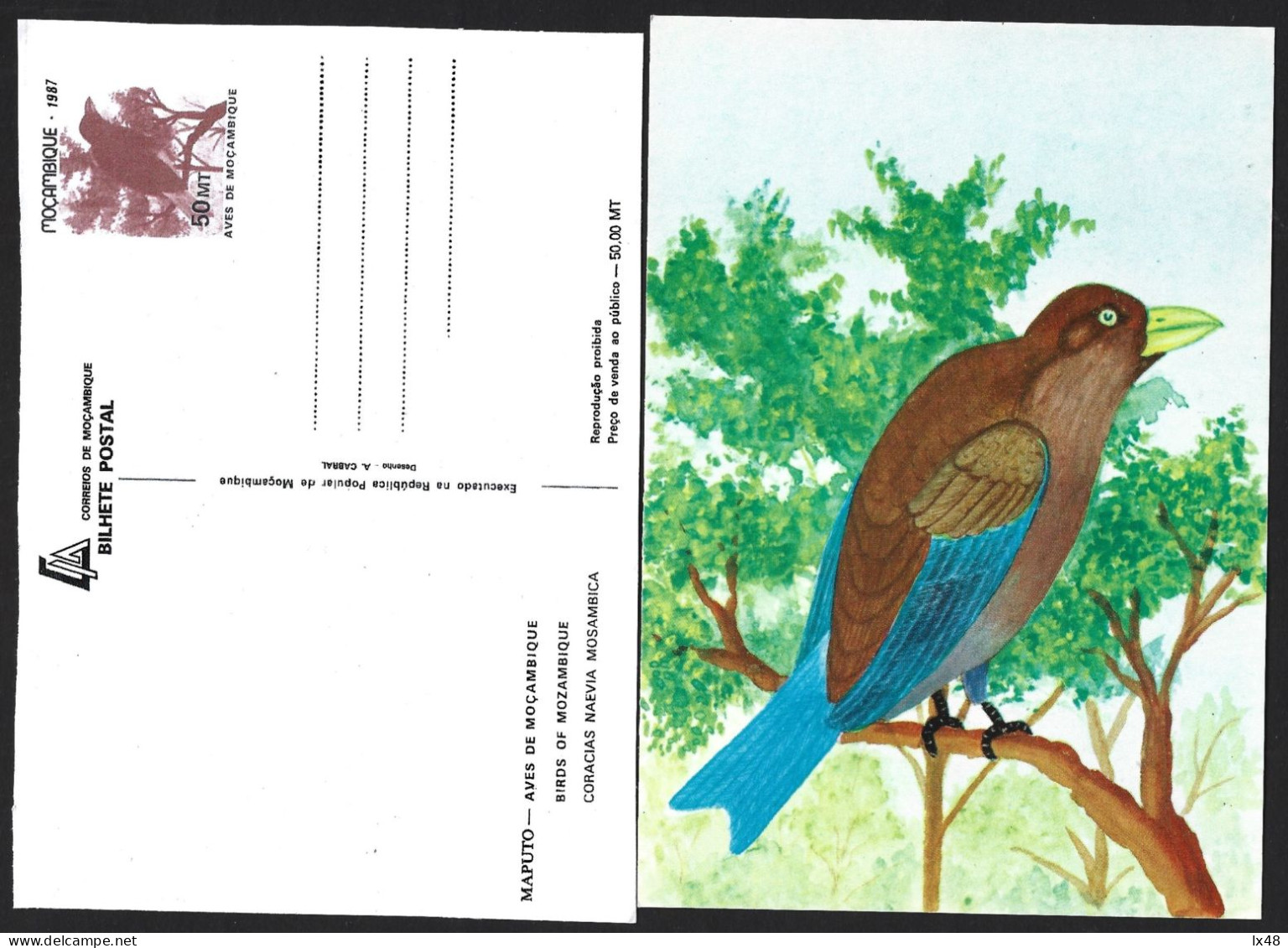 Entire Postcard From Mozambique With Bird From Mozambique 'Coracias Naevius' From 1987.Gehele Ansichtkaart Uit Mozambiq - Kolibries
