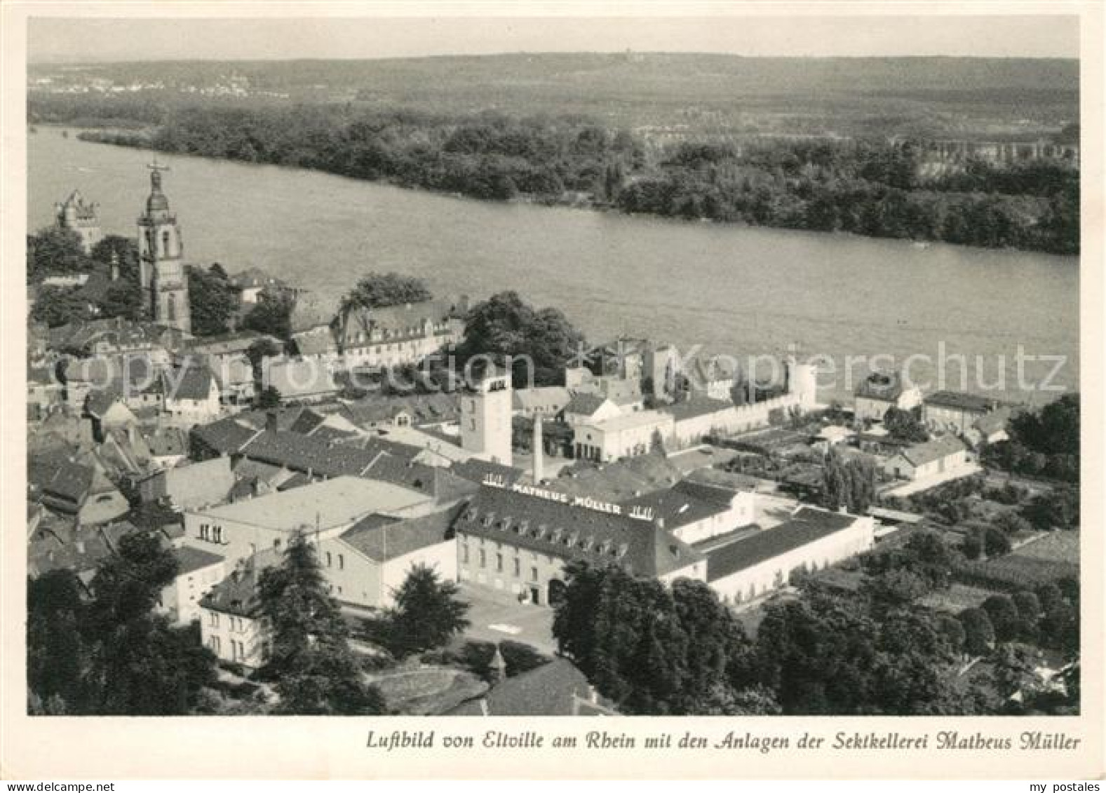 73070034 Eltville Rhein Mit Den Anlagen Der Sektkellerei Matheus Mueller Flieger - Eltville