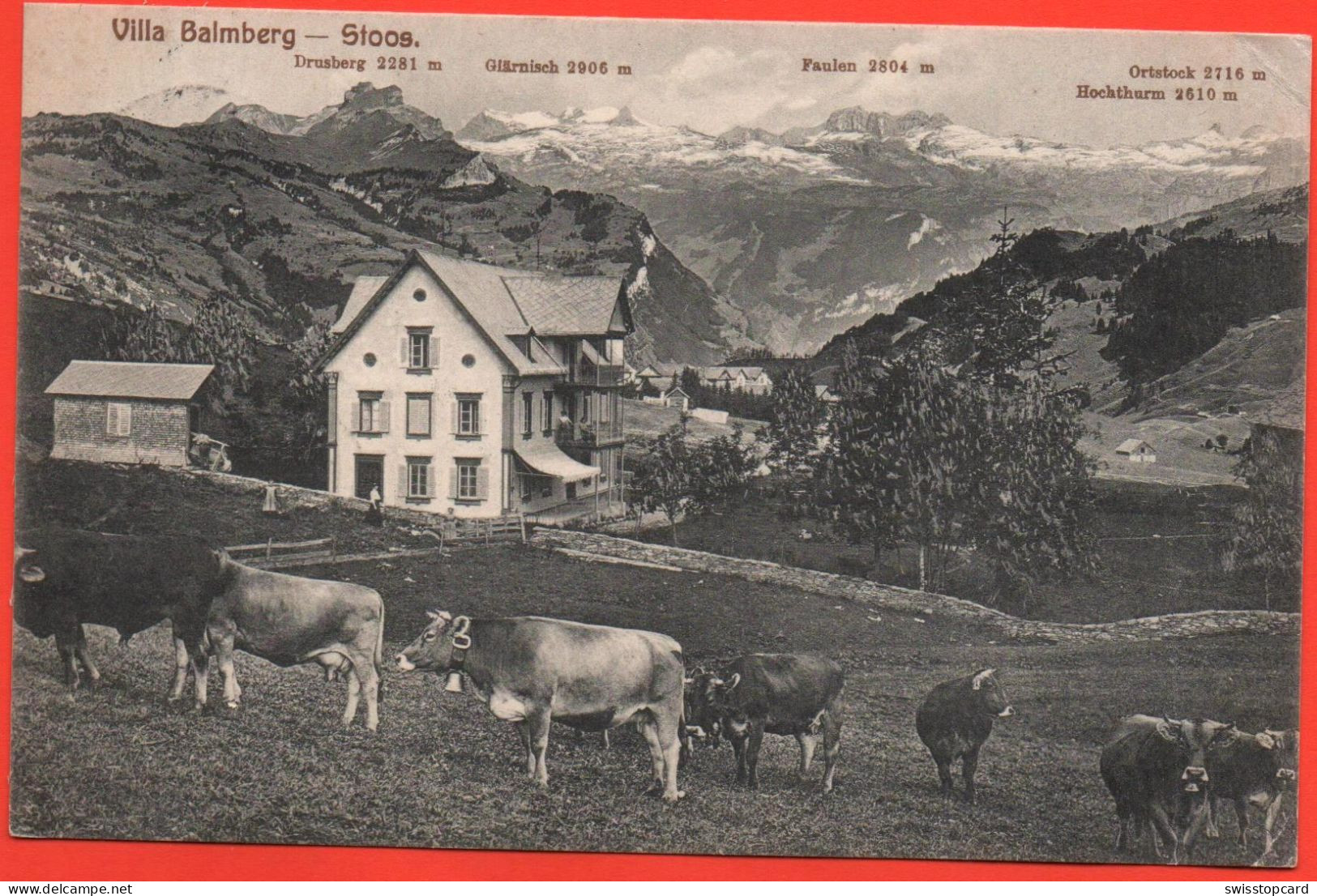 STOOS Ob Morschach, Villa Balmberg, Stier Mit Kühen, Stempel Villa Balmberg - Morschach