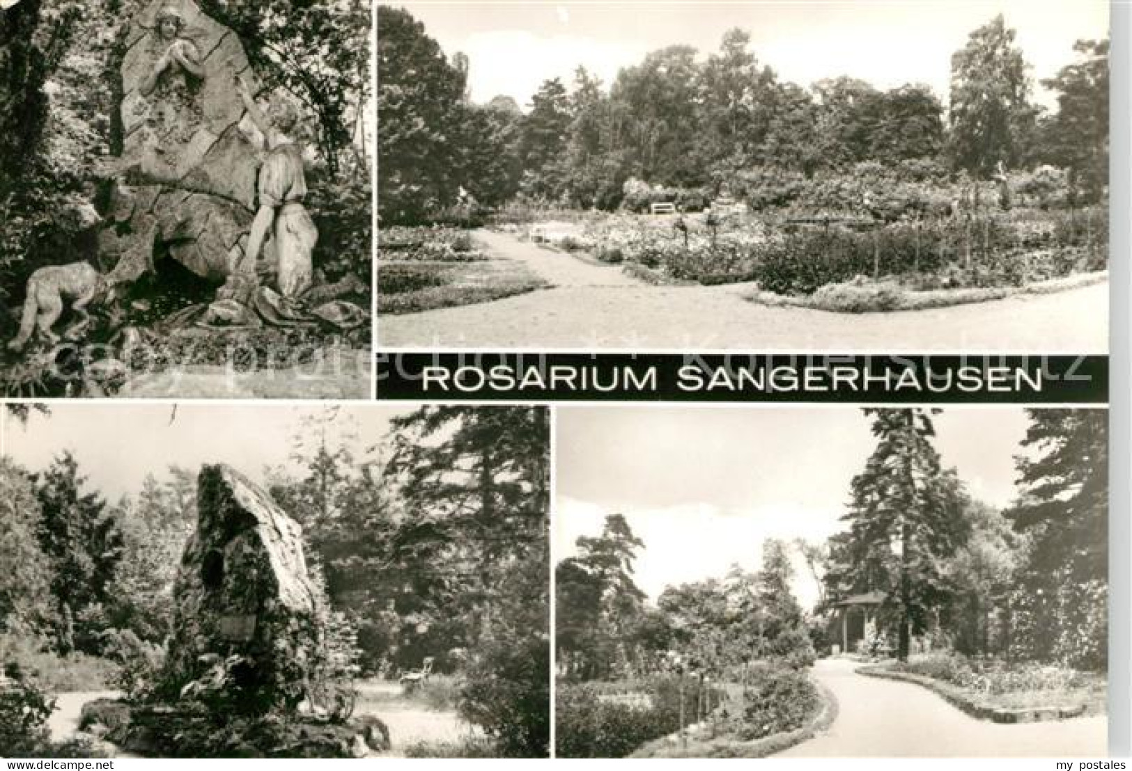73068486 Sangerhausen Suedharz Rosarium Sangerhausen Suedharz - Sangerhausen