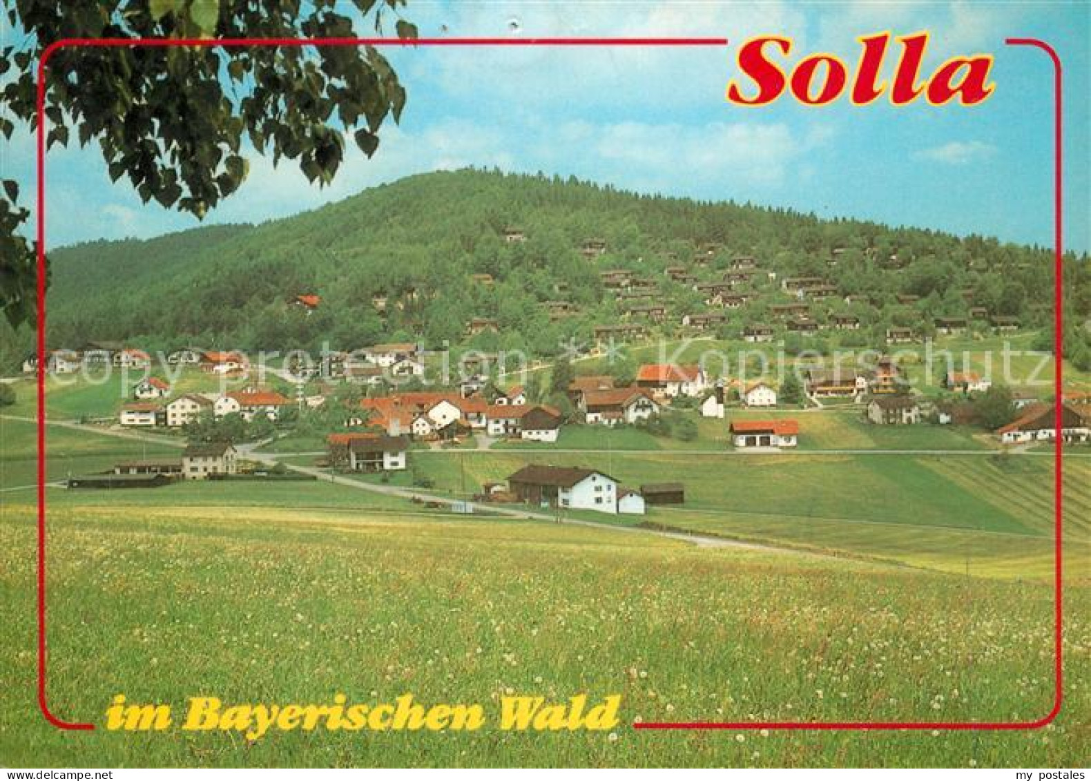 73068473 Solla Wald Panorama Solla Wald - Freyung