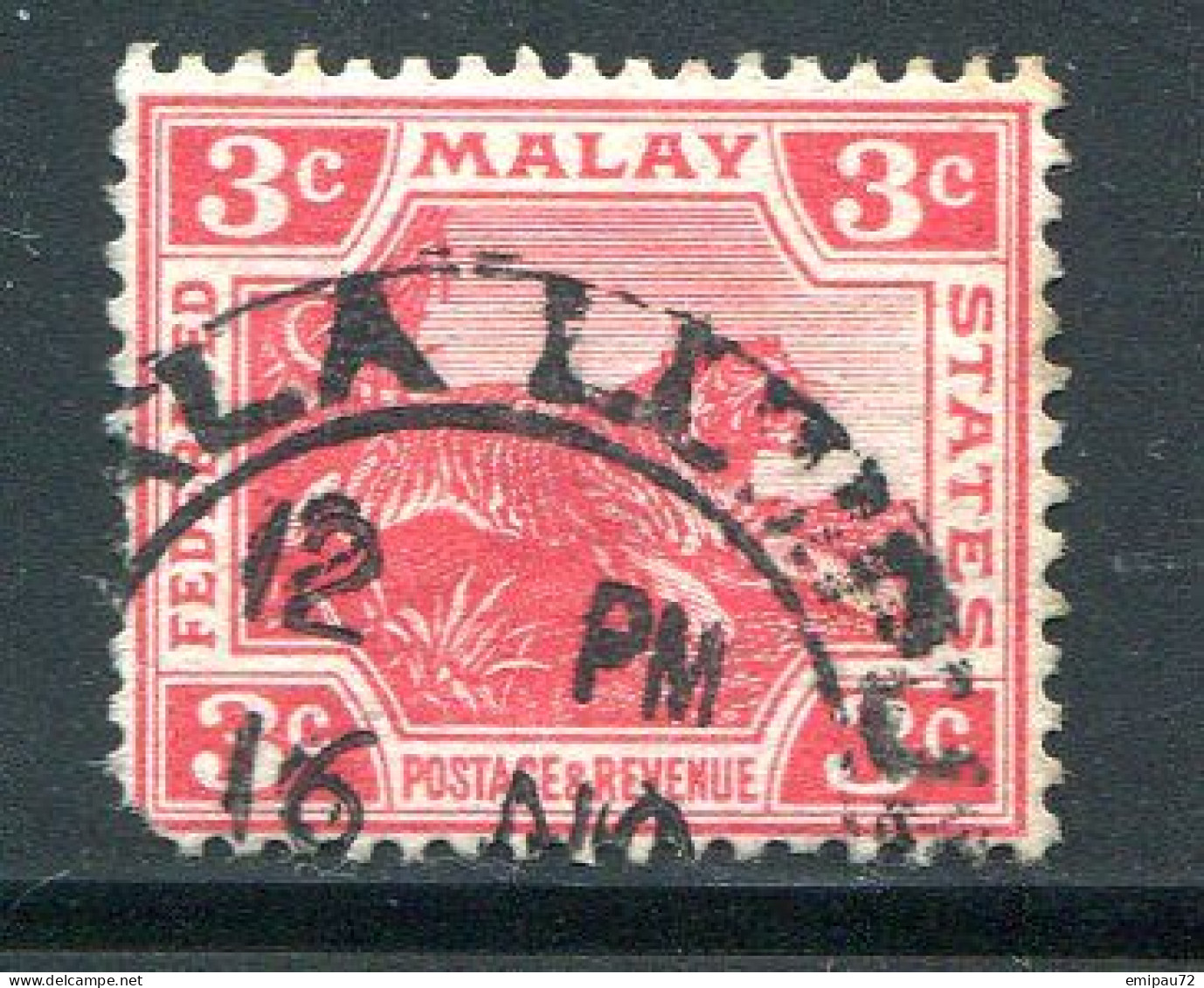 MALAISIE- Y&T N°43- Oblitéré - Federated Malay States