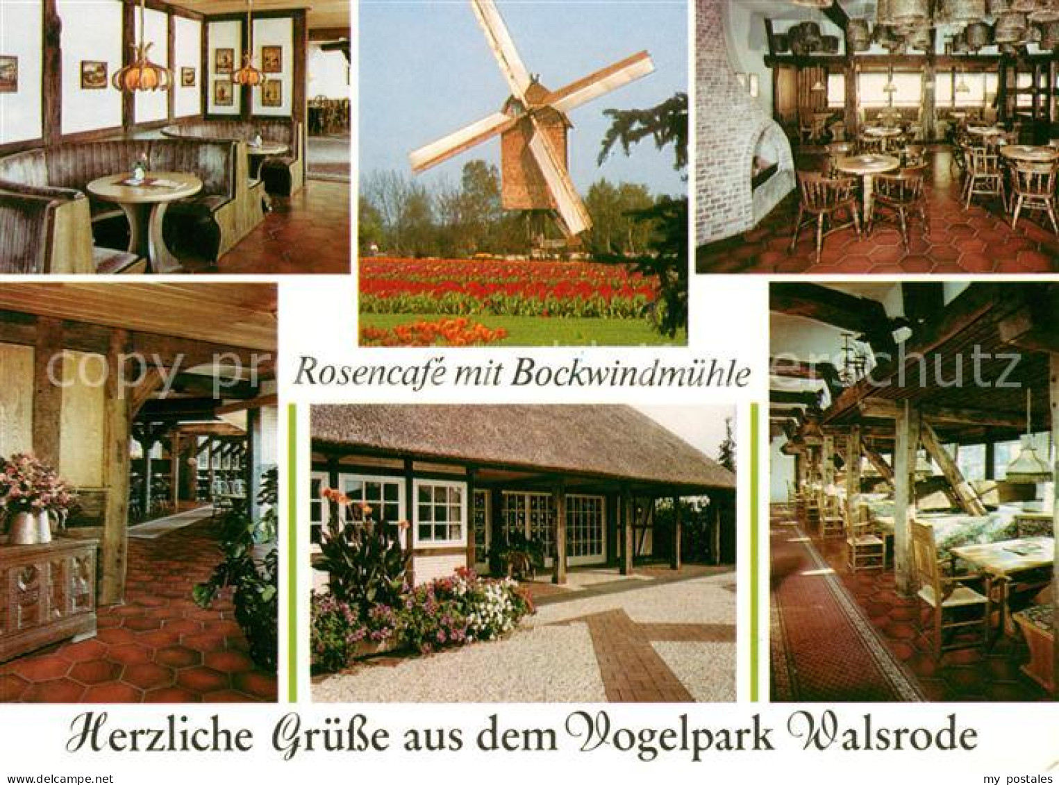 73066476 Walsrode Lueneburger Heide Vogelpark Rosencafe Mit Bockwindmuehle Walsr - Walsrode