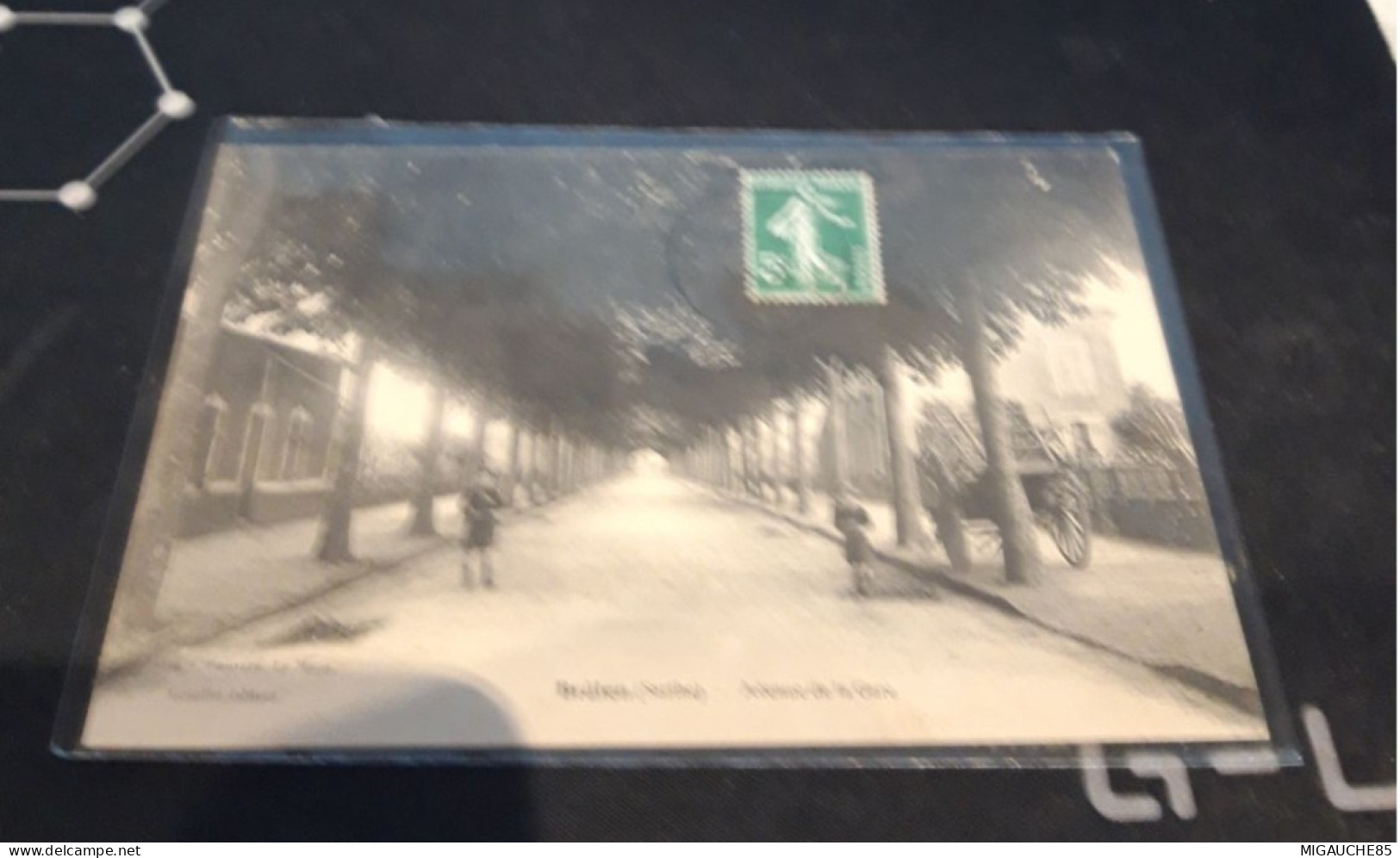 Carte  Postale   BRULON  Avenue De La Gare - Brulon
