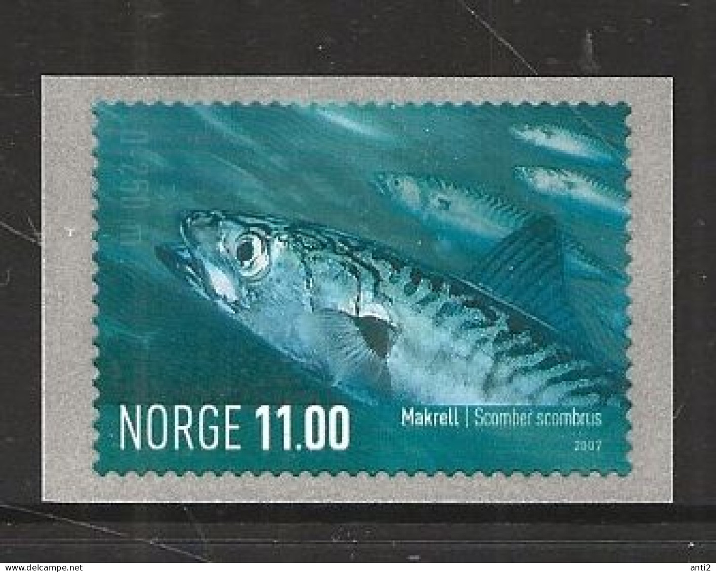 Norway 2007 Fish Atlantic Mackerel - Scomber Scombrus Mi  1616, MNH(**) - Unused Stamps