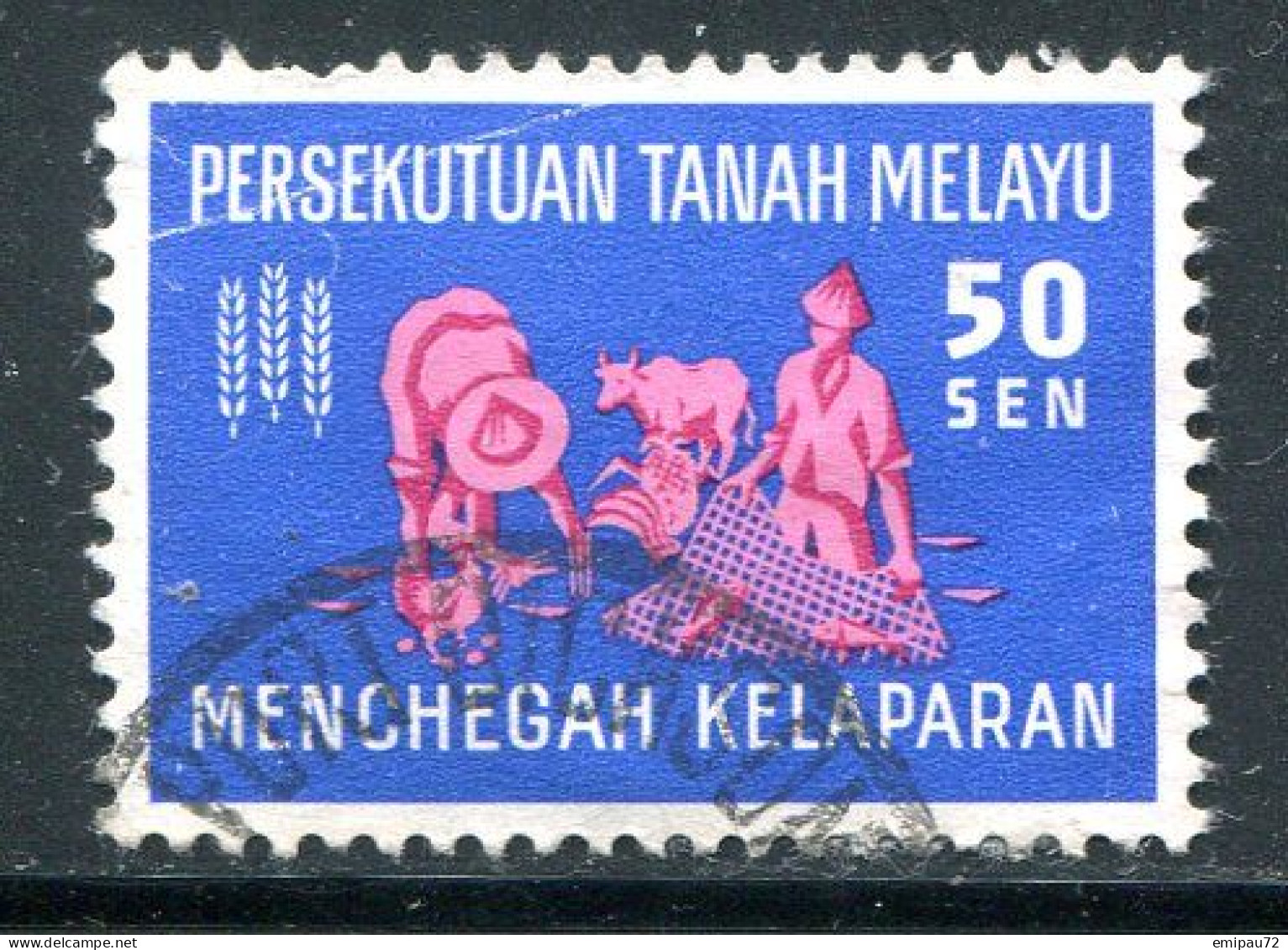 MALAISIE- Y&T N°113- Oblitéré - Fédération De Malaya