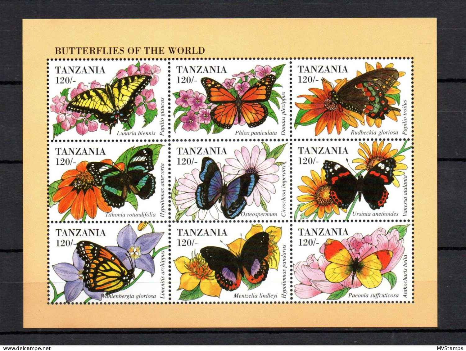 Tanzania 1994 Sheet Butterflies/Schmetterling Stamps (Michel 1888/96) MNH - Tansania (1964-...)
