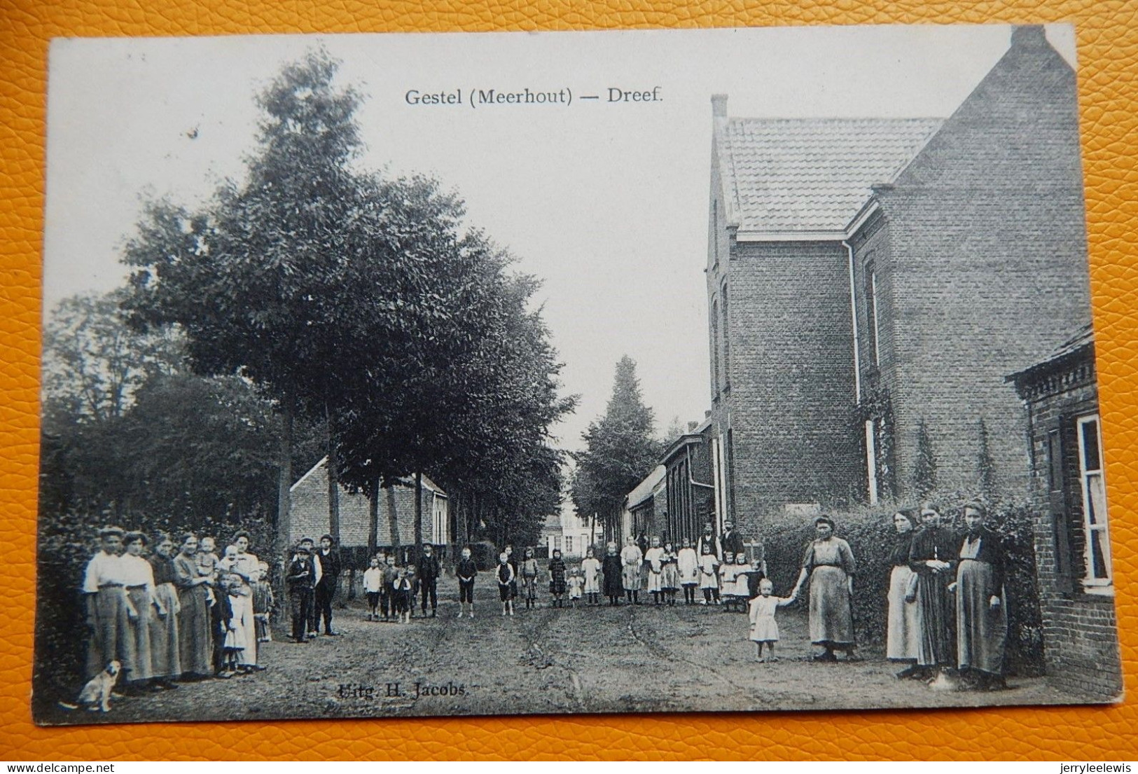 GESTEL  (Meerhout)  -  Dreef  -  1913 - Meerhout