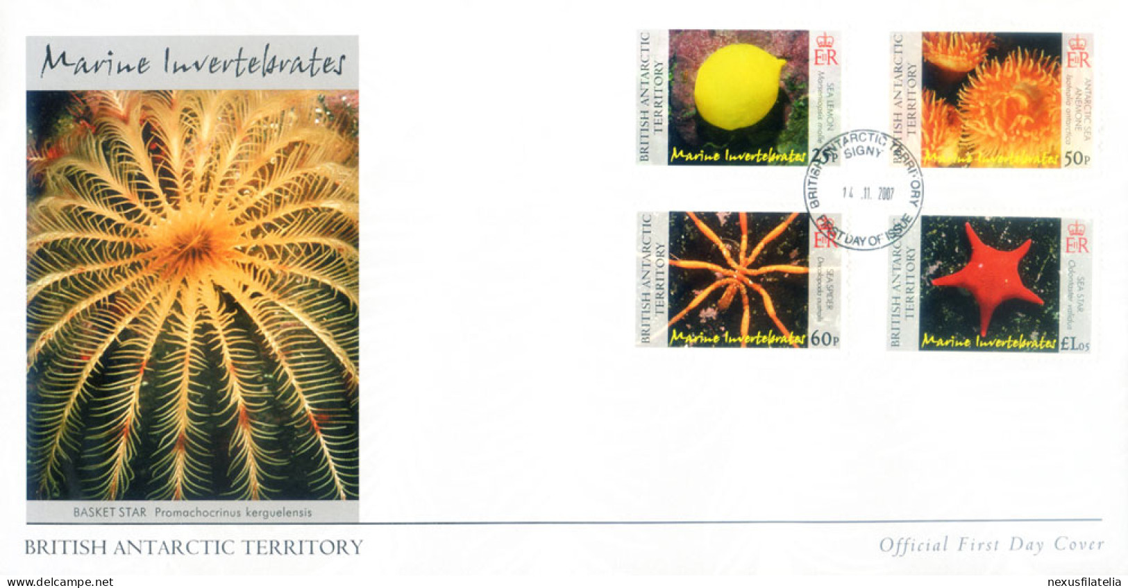 Fauna. Invertebrati Marini 2007. FDC. - Autres & Non Classés