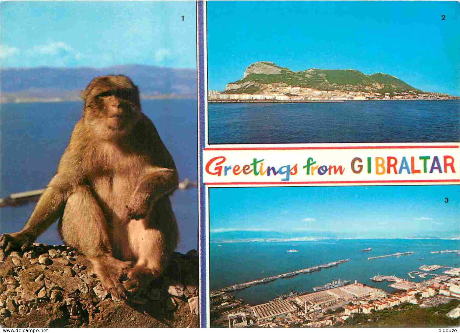 Gibraltar - Multivues - Singes - CPM - Voir Scans Recto-Verso - Gibraltar