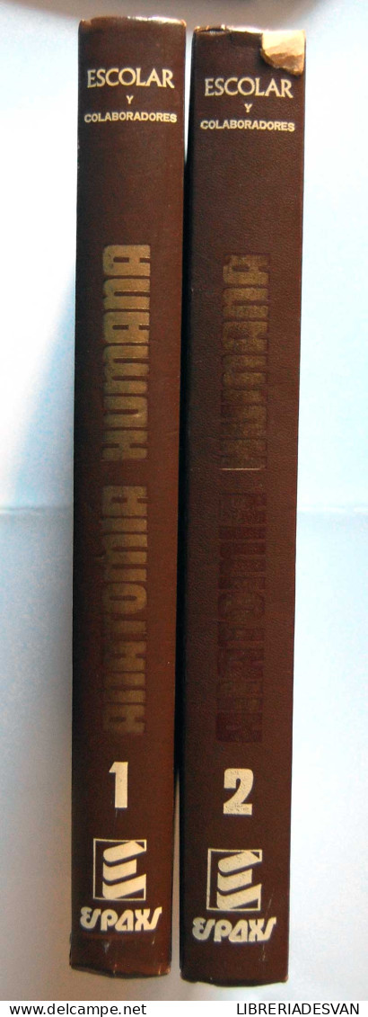 Anatomía Humana (funcional Y Aplicativa). 2 Tomos - J. Escolar Y Colaboradores - Santé Et Beauté