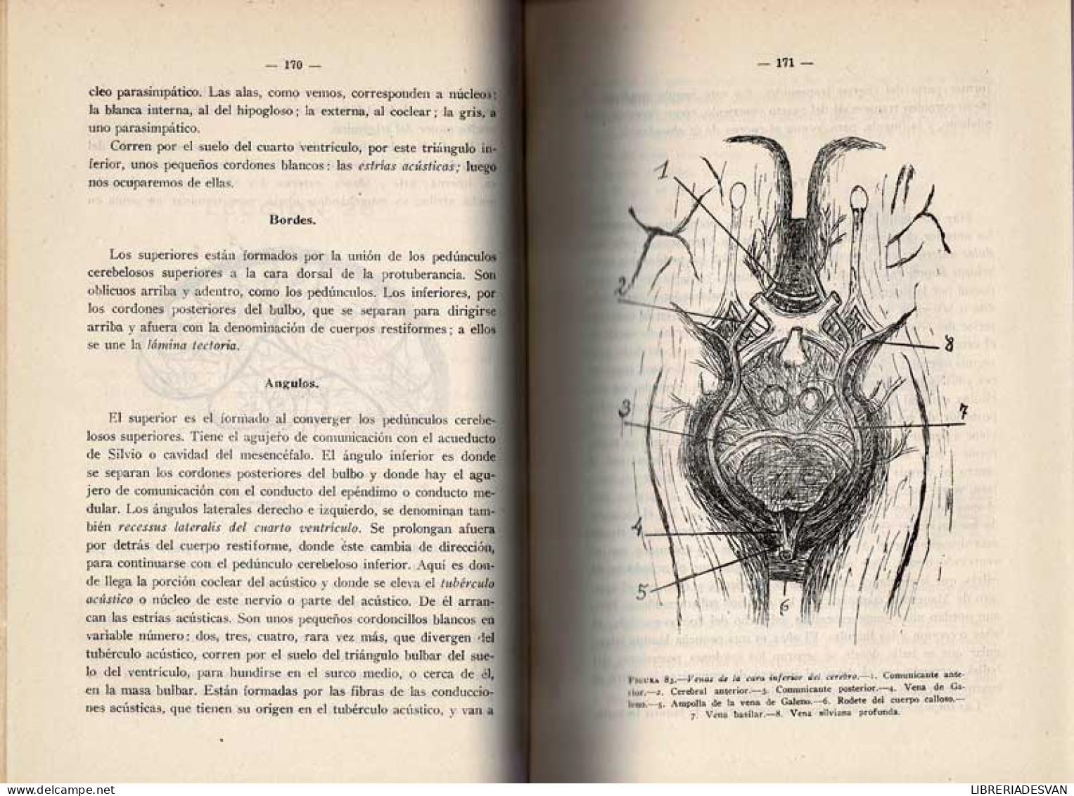 Lecciones De Anatomía Topográfica. 6 Tomos En 2 Volúmenes - Julián De La Villa - Health & Beauty