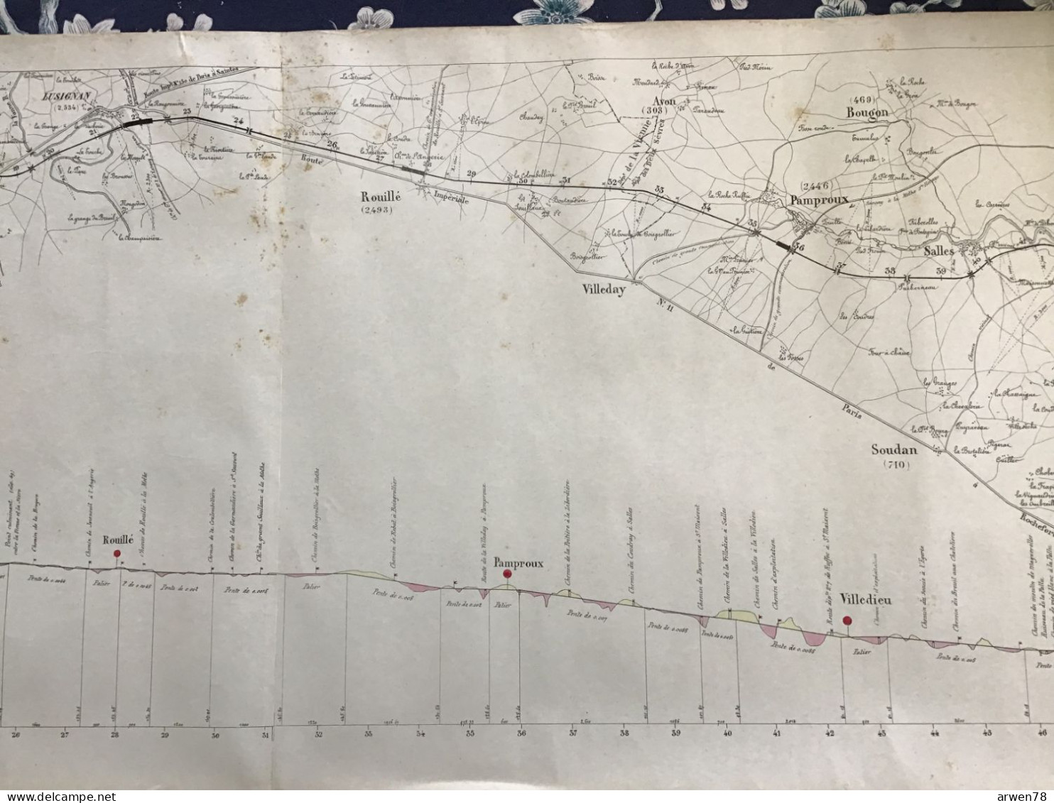 XIX Eme Siècle EXCEPTIONEL PLAN & PROFIL De La Ligne POITIERS LA ROCHELLE ROCHEFORT  Du CHEMIN DE FER PARIS ORLEANS - Cartes Topographiques