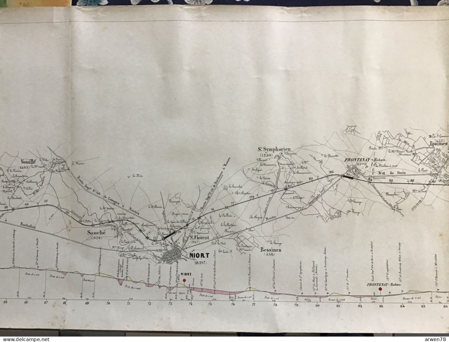 XIX Eme Siècle EXCEPTIONEL PLAN & PROFIL De La Ligne POITIERS LA ROCHELLE ROCHEFORT  Du CHEMIN DE FER PARIS ORLEANS - Cartes Topographiques