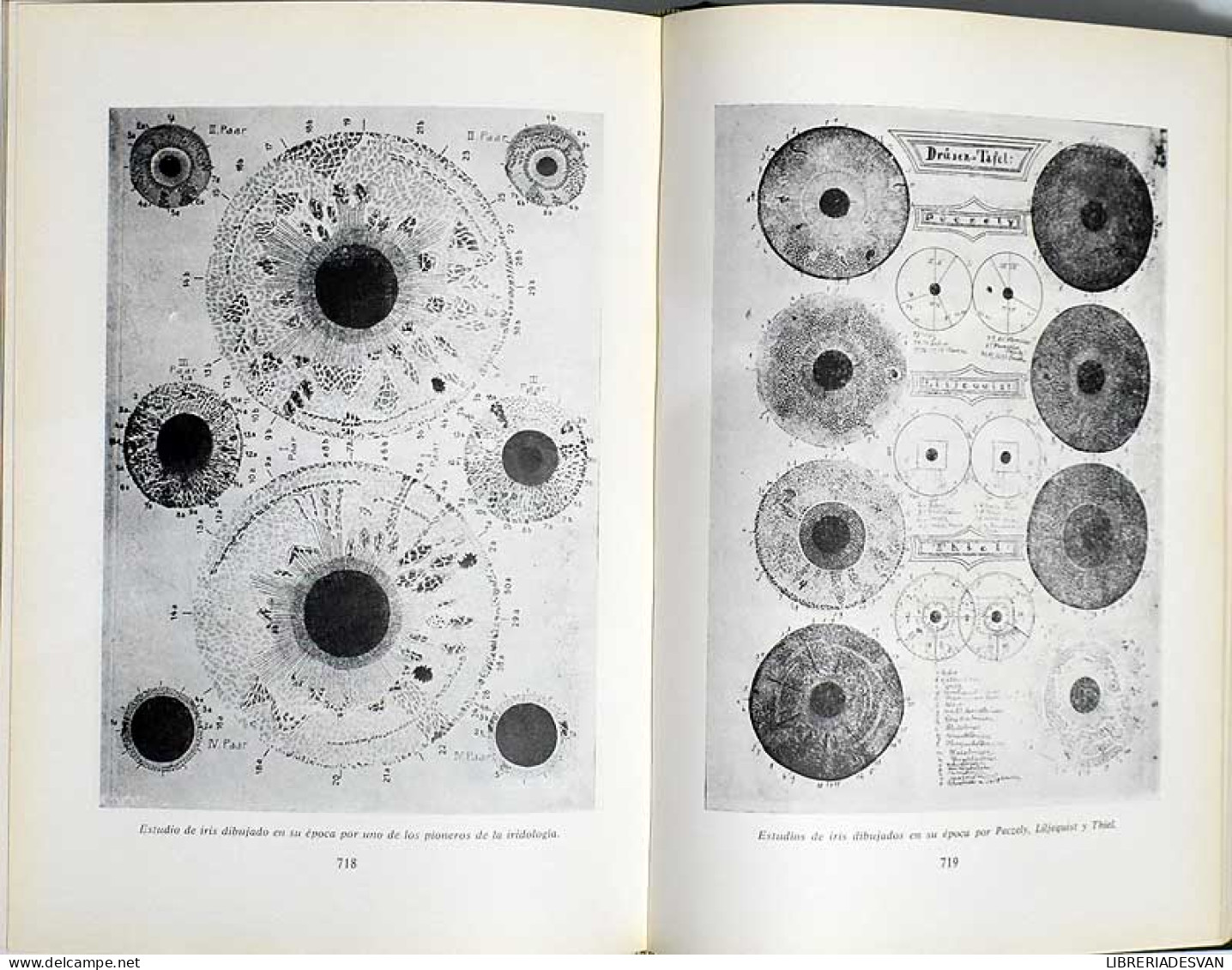 Iridodiagnosis. Disquisiciones Y Ensayos Sobre El Diagnóstico Por El Iris - V. L. Ferrandiz - Santé Et Beauté