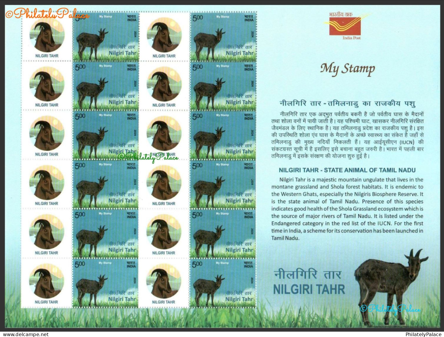 India New *** 2024 Nilgiri Tahr,Forest Goat,Animal,Endangered (IUCN 3.1), Full Sheet MNH (**) Inde Indien - Unused Stamps