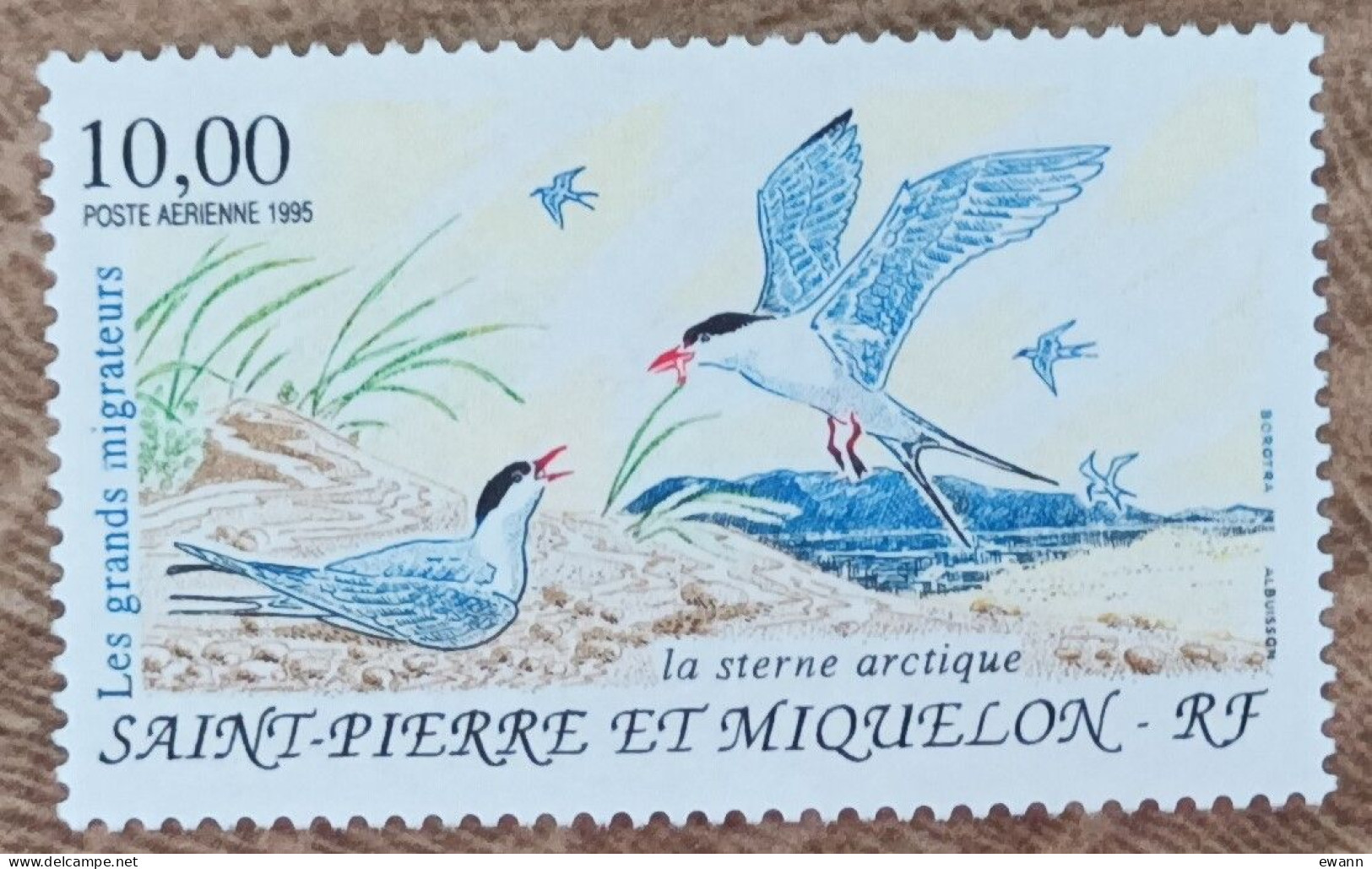 Saint Pierre Et Miquelon - YT Aérien N°74 - Les Grands Migrateurs / Le Sterne Arctique - 1995 - Neuf - Unused Stamps