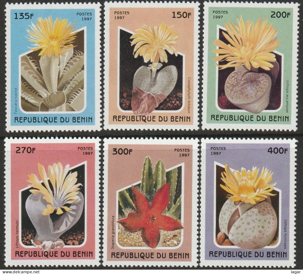 THEMATIC  FLORA:  CACTUS.     6v+MS    -  BENIN - Cactusses