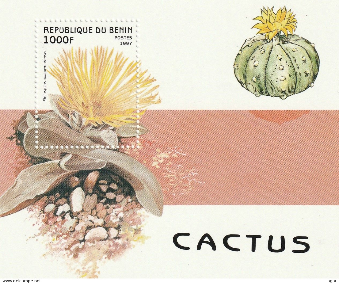 THEMATIC  FLORA:  CACTUS.     6v+MS    -  BENIN - Sukkulenten