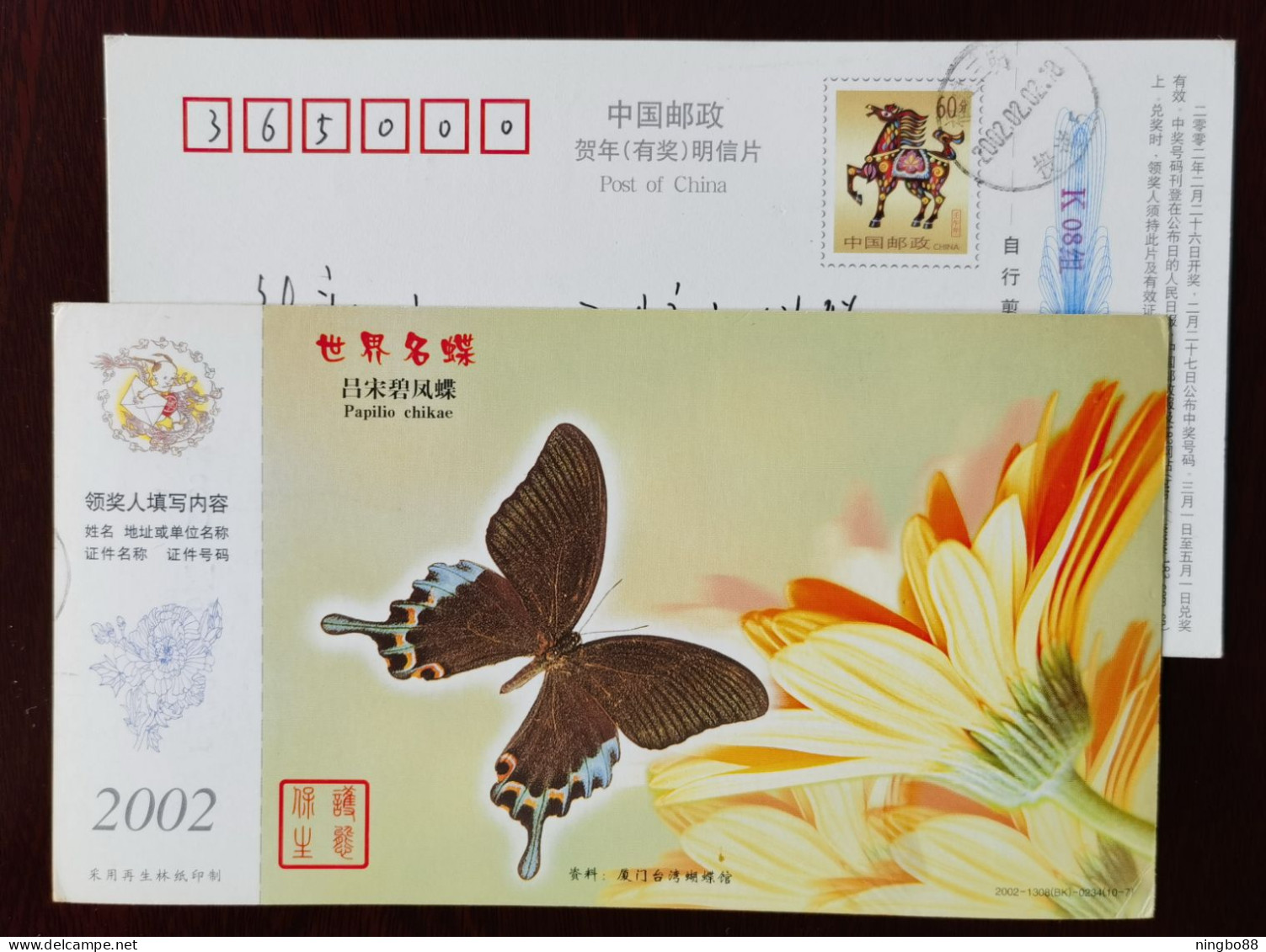 Butterfly,Papilio Chikae,China 2002 World Famous Butterfly Series Advertising Pre-stamped Card - Papillons