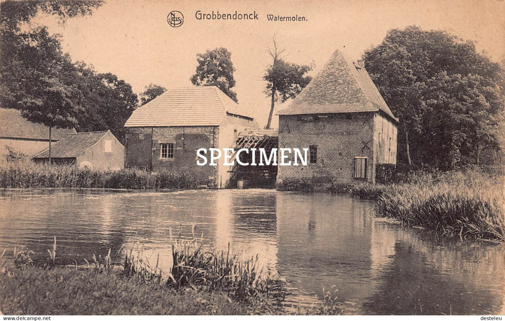 Watermolen - Grobbendonk - Grobbendonk