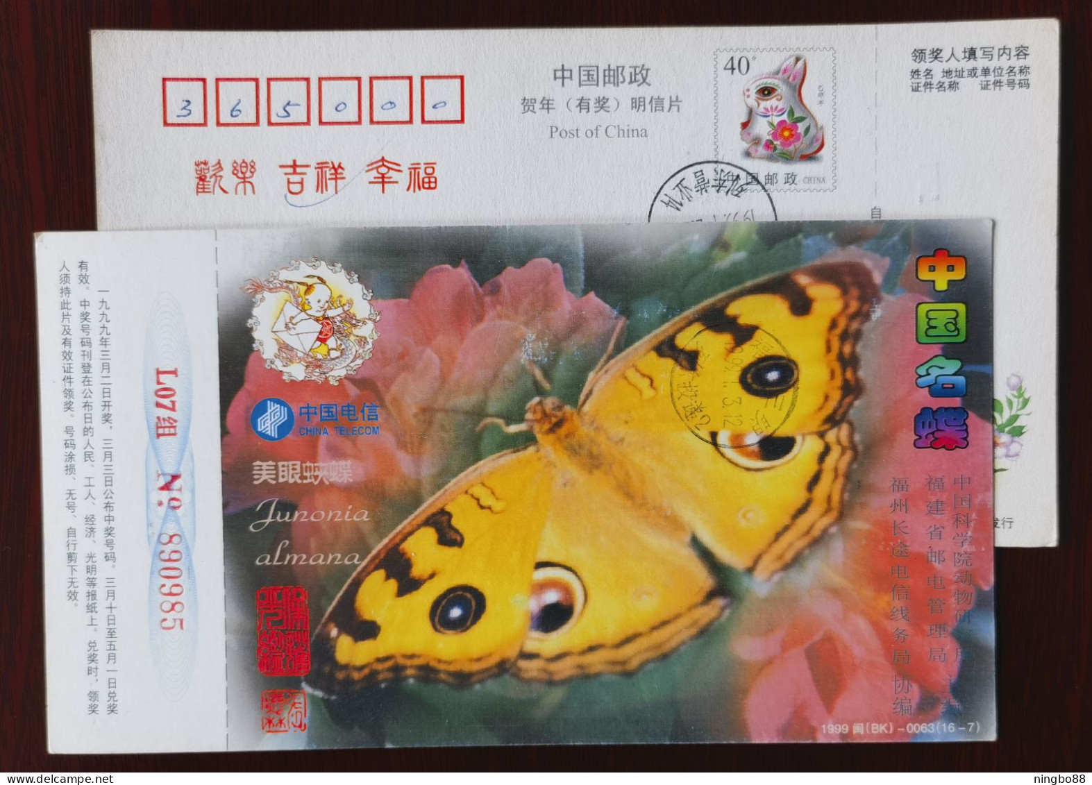 Butterfly,Junonia Almana,China 1999 Chinese Famous Butterfly Series Advertising Pre-stamped Card - Vlinders