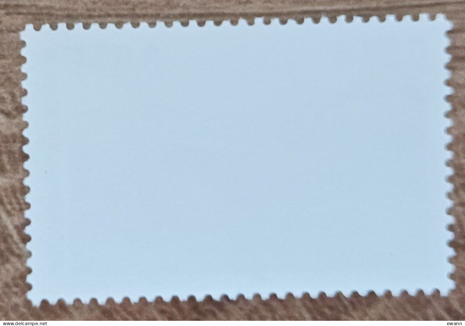 Saint Pierre Et Miquelon - YT N°740 - La Grisette - 2001 - Neuf - Unused Stamps
