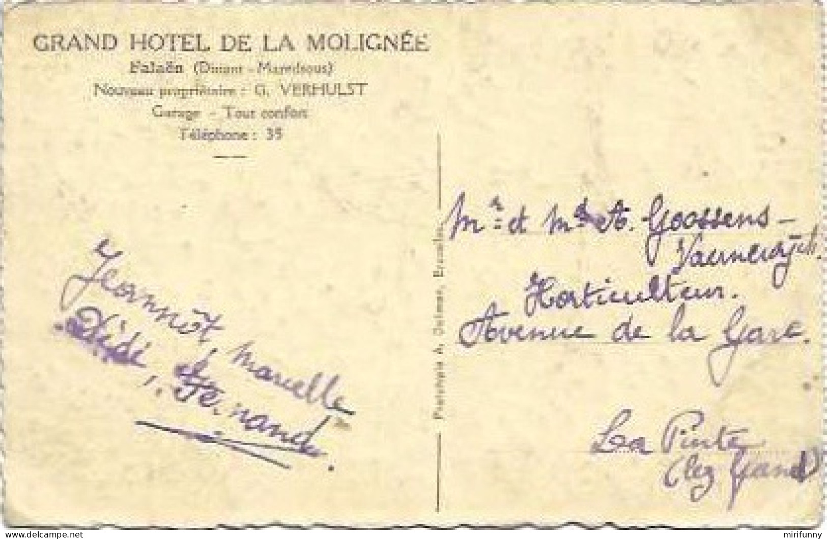 FALAEN (DINANT MAREDSOUS) GRAND HOTEL DE LA MOLIGNEE NOUVEAU PROPRIETAIRE G. VERHULST/UNE VUE DES ENVIRONS DE L HOTEL - Onhaye