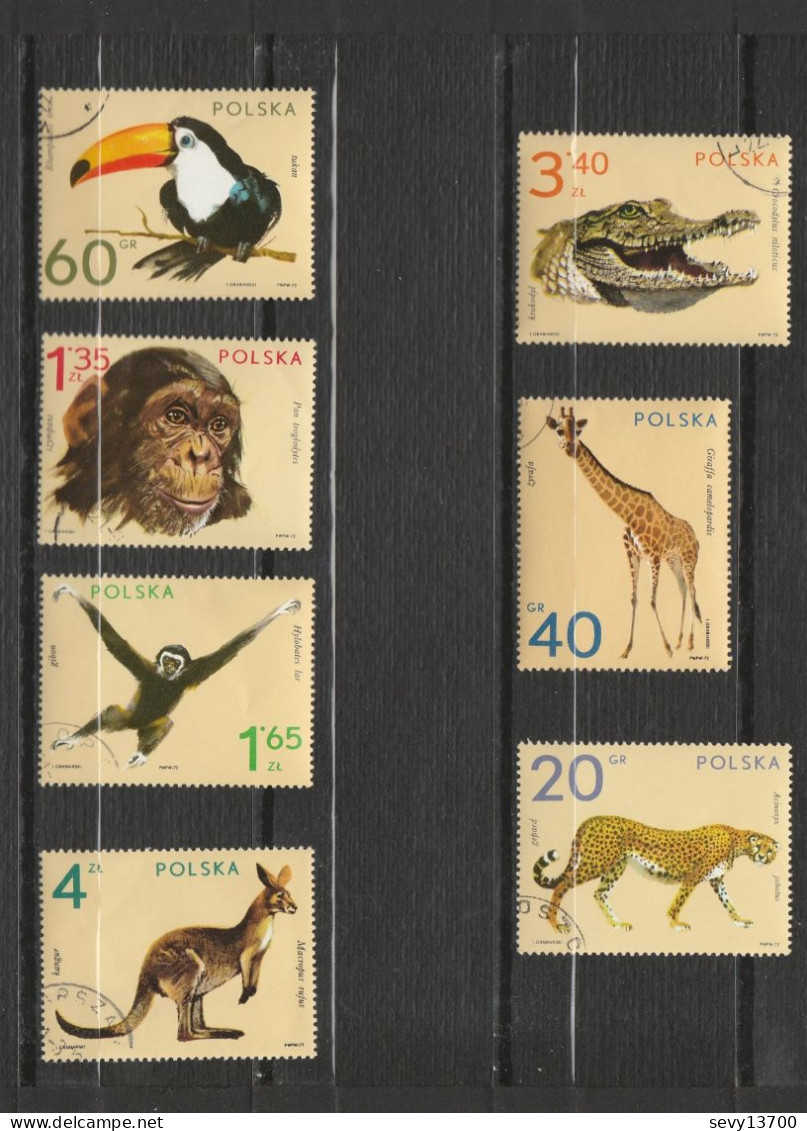 Pologne - 58 Timbres Animaux - Poissons Insectes Chevaux Oiseaux Chiens Chats Oiseaux Serpents Grenouilles Tortue Singe - Collections