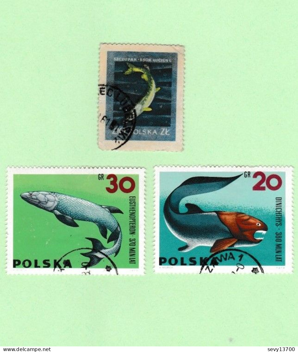 Pologne - 58 timbres animaux - poissons insectes chevaux oiseaux chiens chats oiseaux serpents grenouilles tortue singe