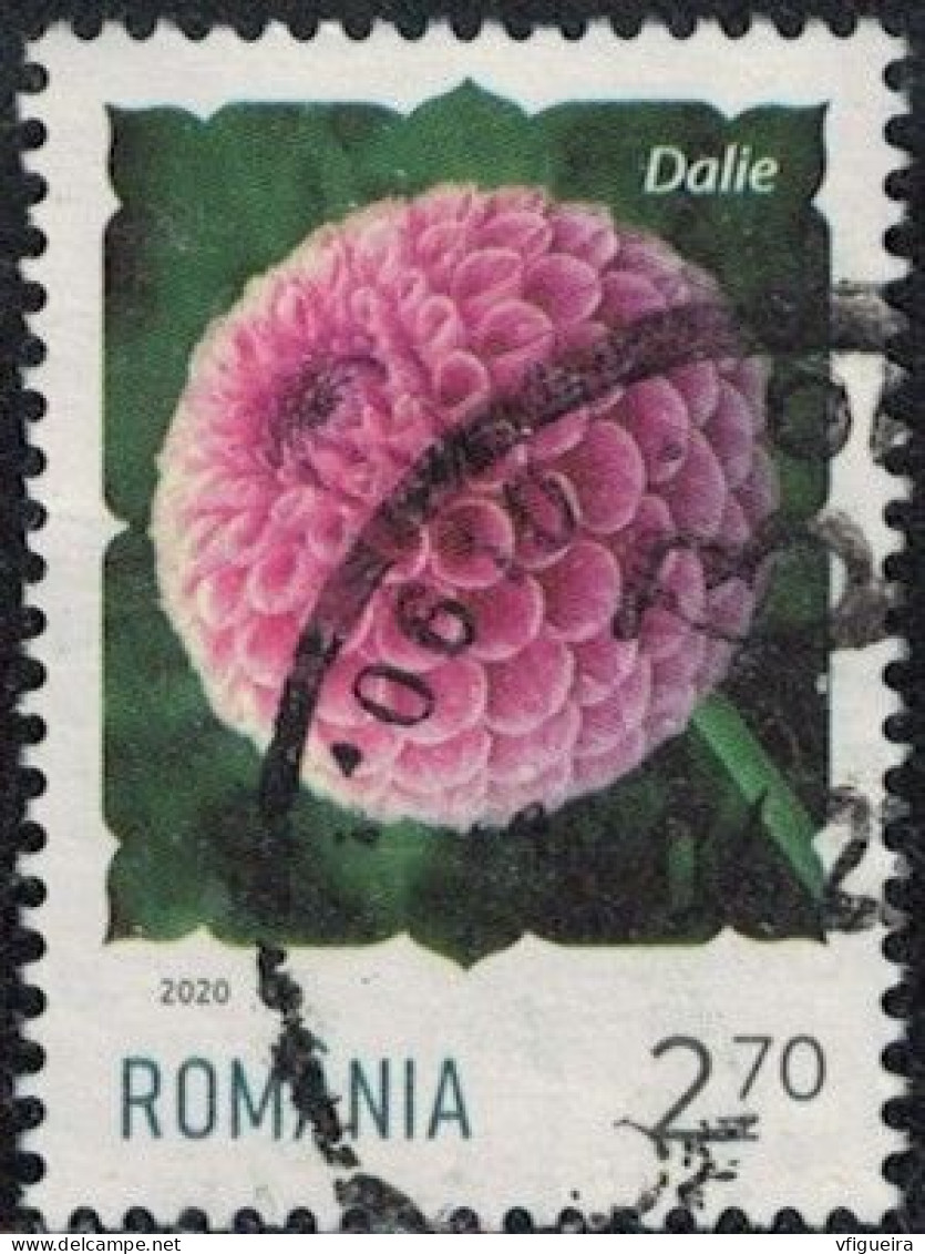Roumanie 2020 Oblitéré Used Plante Fleur Dahlia Sp. Y&T RO 6521 SU - Oblitérés