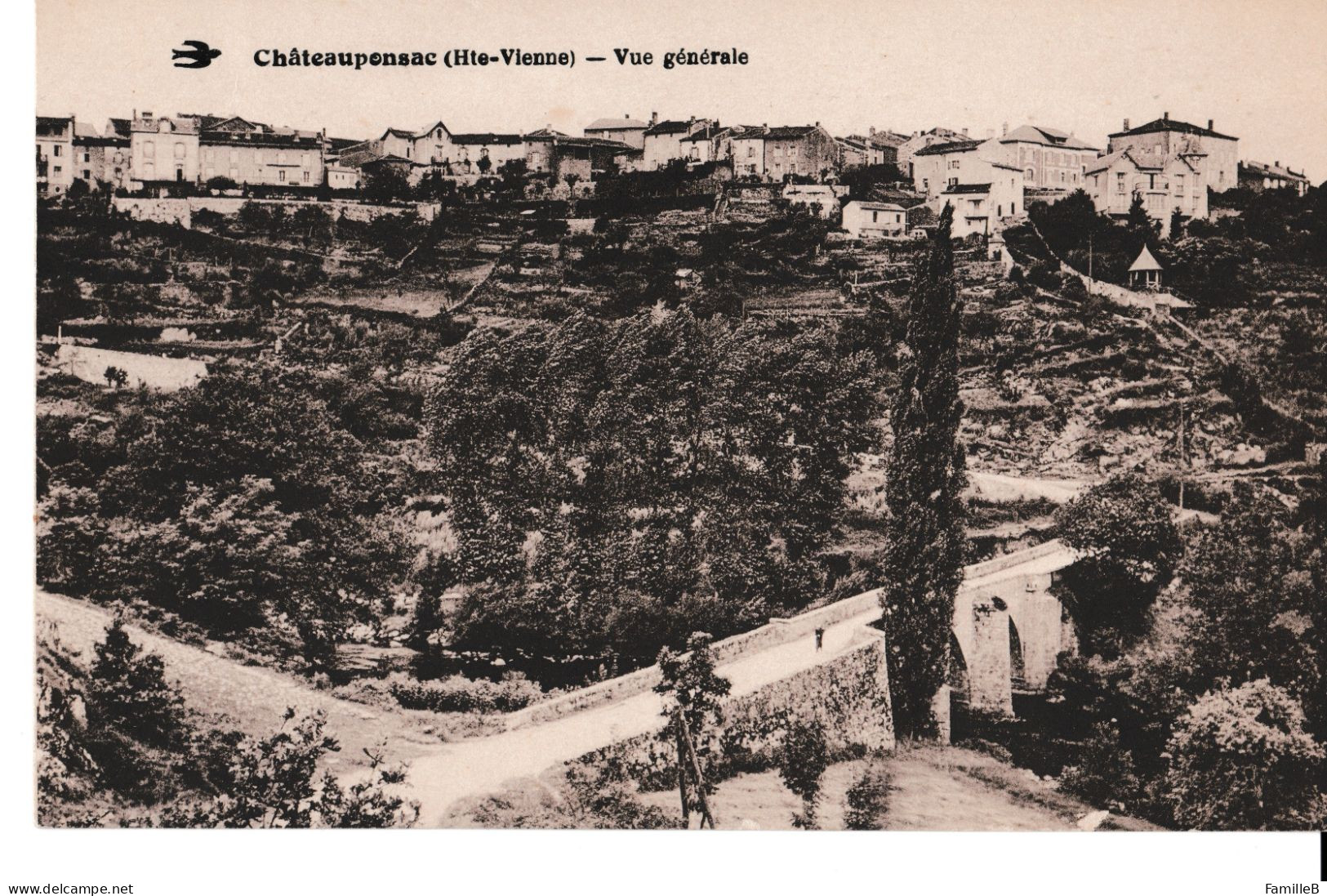 Châteauponsac (Hte-Vienne) - Vue Générale - Chateauponsac