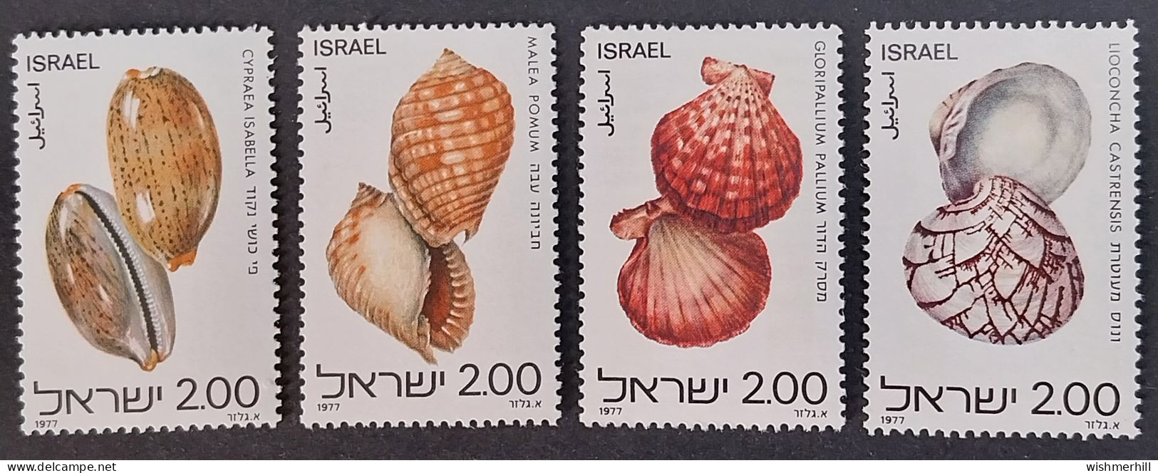 Coquillages Shells // Série Complète Neuve ** MNH ; Israêl YT 668/671 (1977) Cote 2 € - Nuovi (senza Tab)