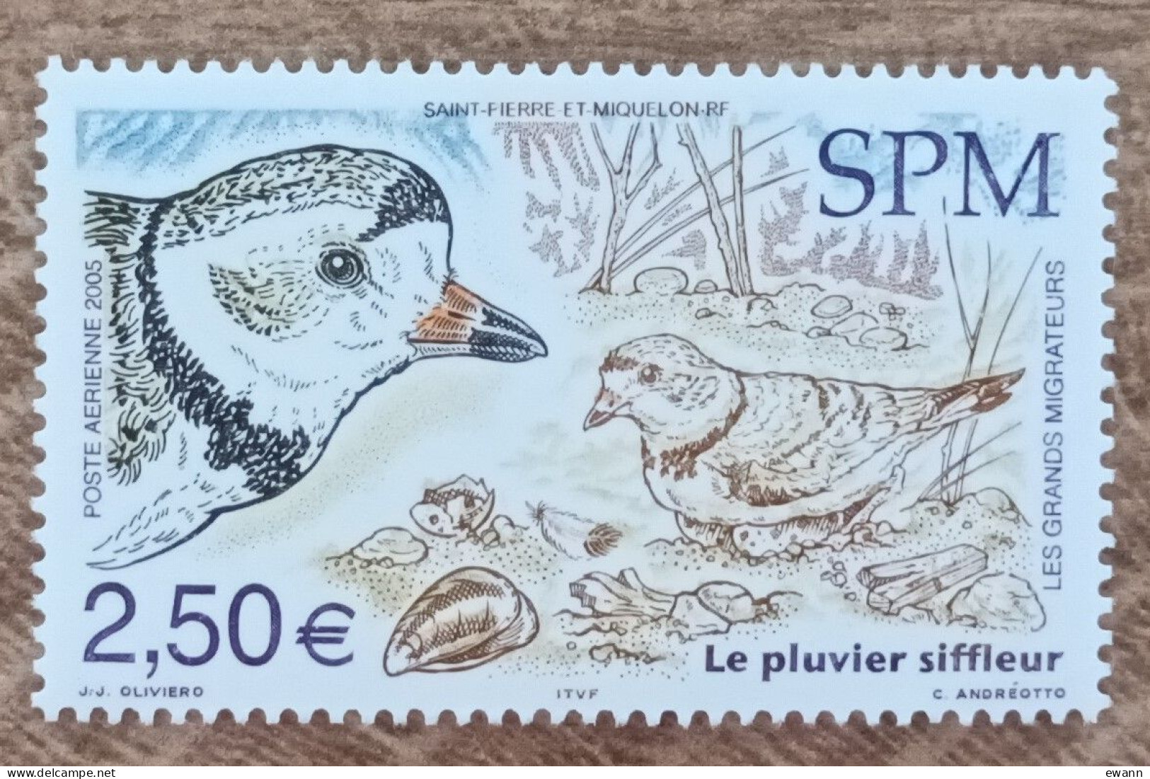 Saint Pierre Et Miquelon - YT Aérien N°85 - Faune / Oiseaux / Les Grands Migrateurs / Pluvier Siffleur - 2005 - Neuf - Ungebraucht