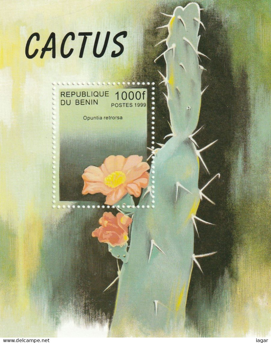 THEMATIC FLORA:   CACTUS  FLOWERS.     6v+BF  - BENIN - Cactus