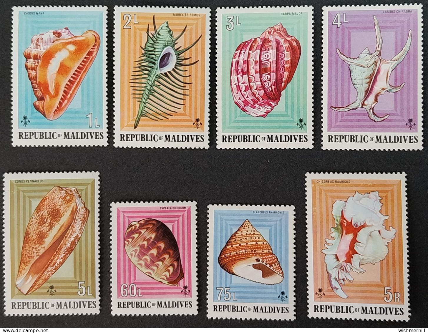 Coquillages Shells // Série Complète Neuve ** MNH ; Maldives YT 511/518 (1974) Cote 15 € - Maldivas (1965-...)