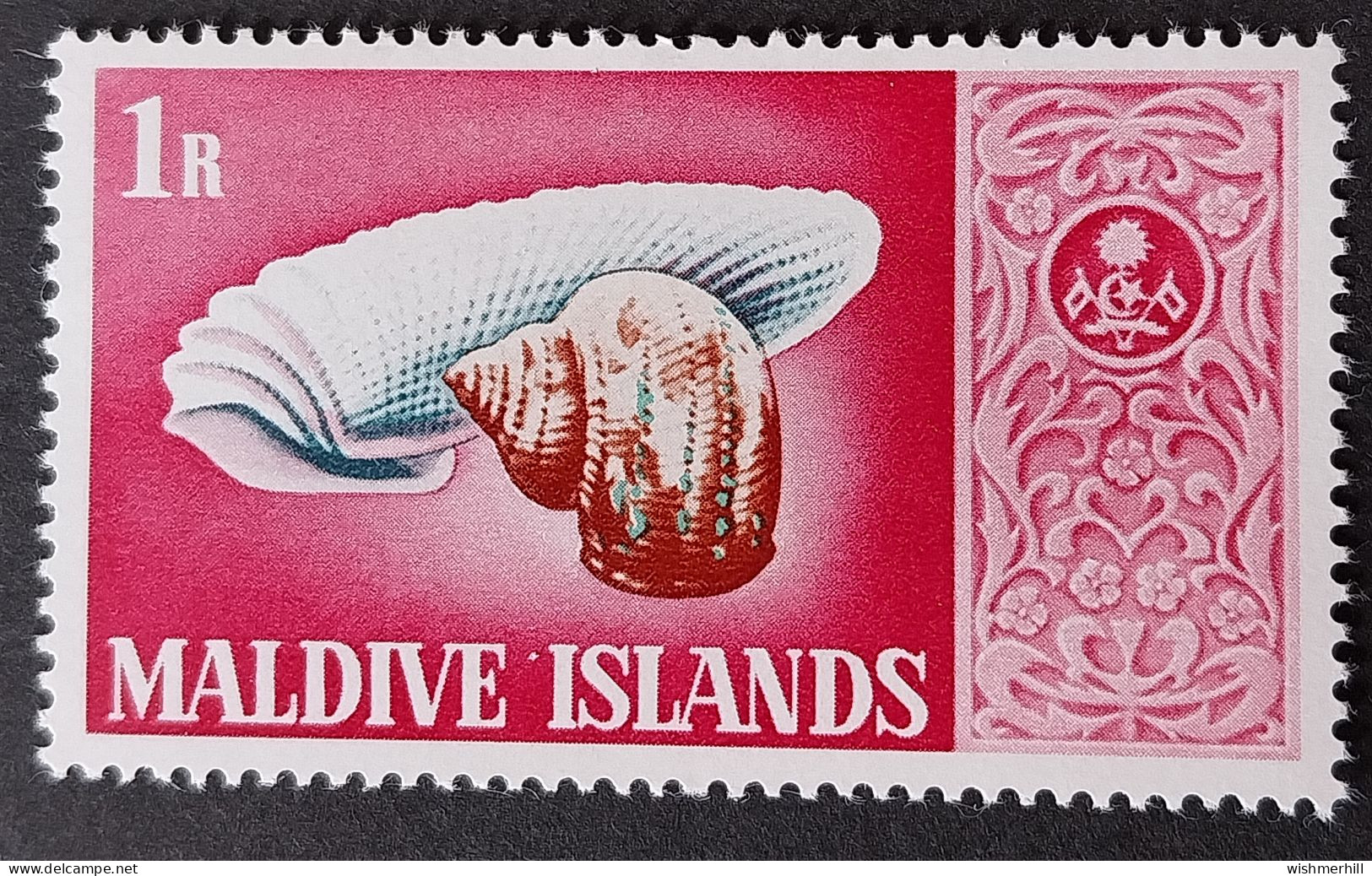 Coquillages Shells // Neuve ** MNH ; Maldives YT 278 (1968) Cote 4.50 € - Maldivas (1965-...)