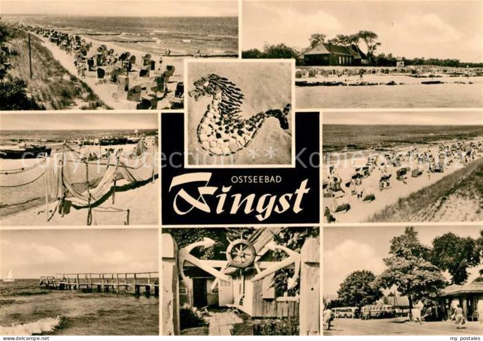 73049664 Zingst Ostseebad  Zingst Ostseebad - Zingst