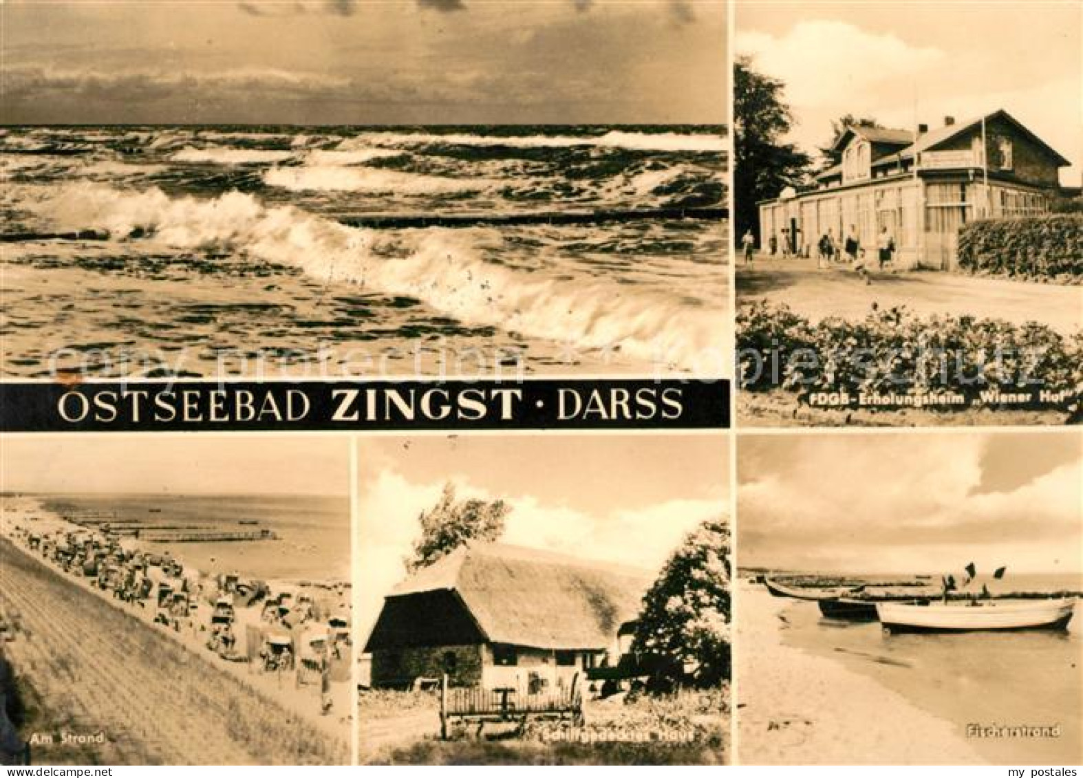 73049657 Zingst Ostseebad Strand Erholungsheim Wiener Hof Fischerstrand Schilfge - Zingst