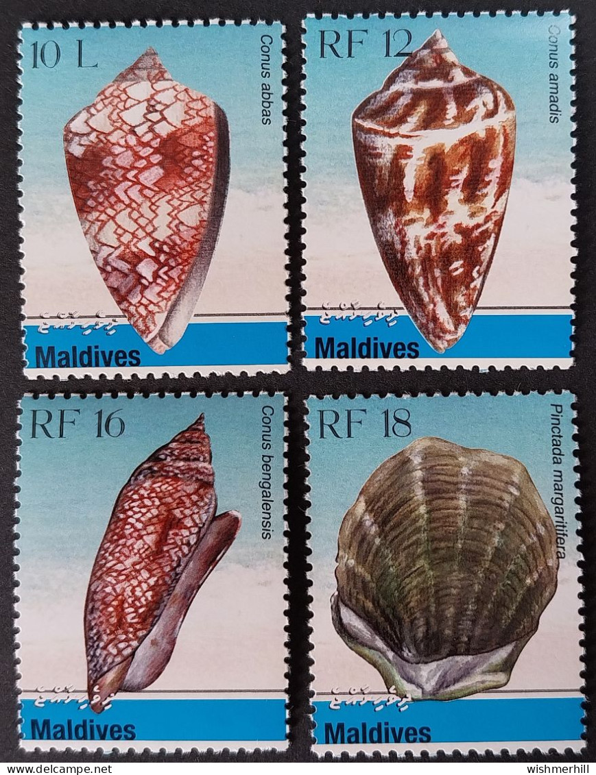 Coquillages Shells // Série Complète Neuve ** MNH ; Maldives YT 3999/4002 (2010) Cote 10.70 € - Malediven (1965-...)