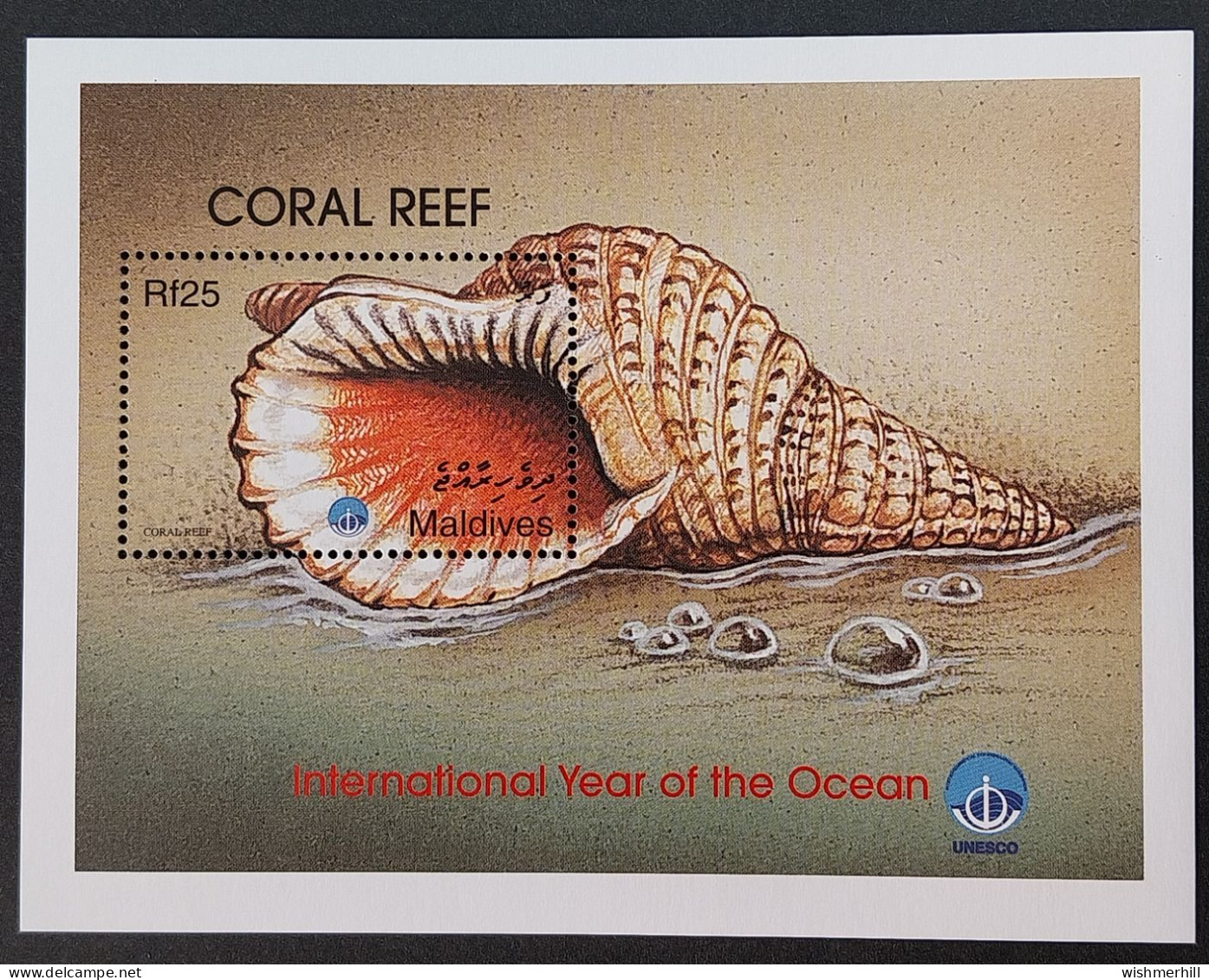 Coquillages Shells // Bloc Neuf ** MNH ; Maldives BF 419 (1999) Cote 9 € - Malediven (1965-...)